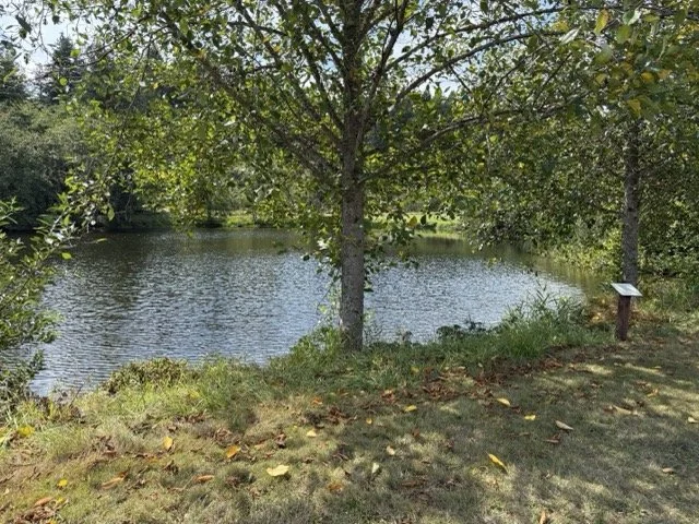 IMG_9888 Medium.jpeg