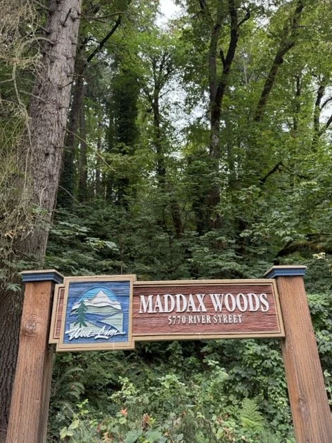 IMG_0044 Medium.jpeg