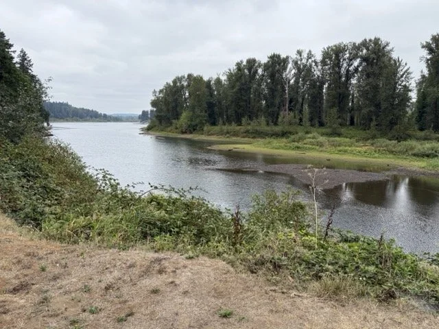 IMG_0045 Medium.jpeg