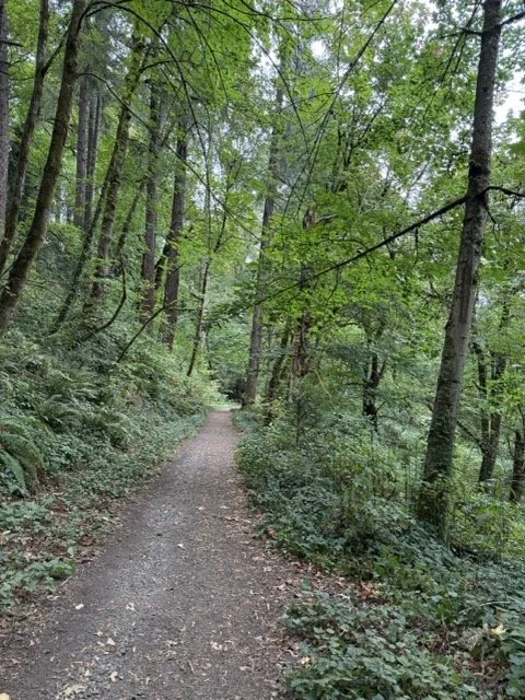 IMG_0047 Medium.jpeg