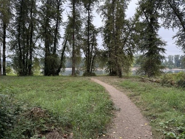 IMG_0048 Medium.jpeg