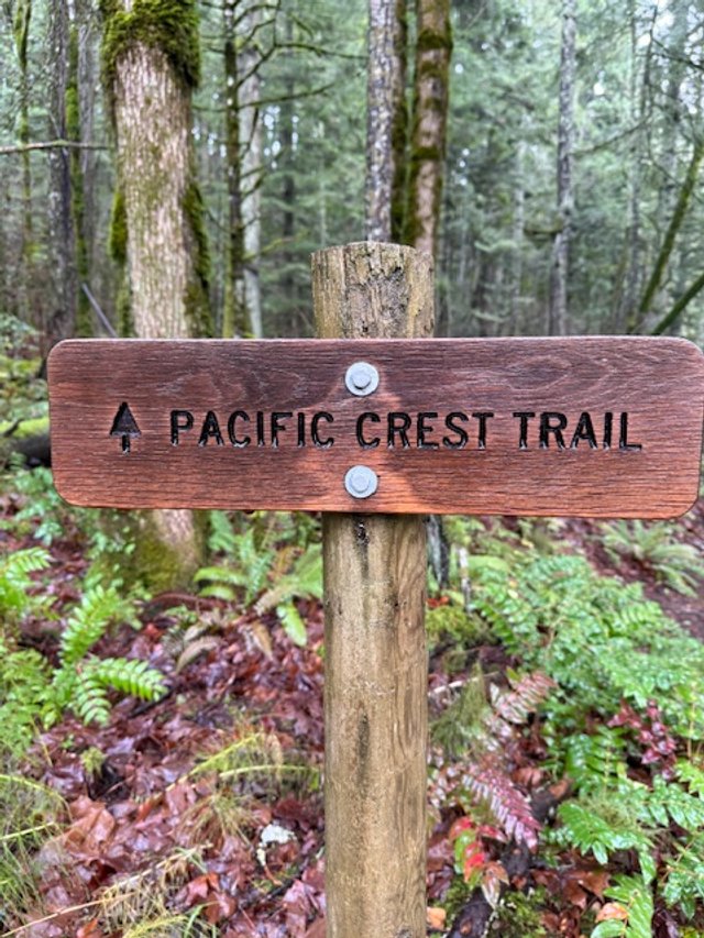 Hike 42: Pacific Crest Trail (Stevenson, WA)