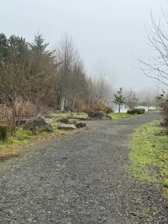 Hike 44: Fernhill Wetlands (Forest Grove, OR)