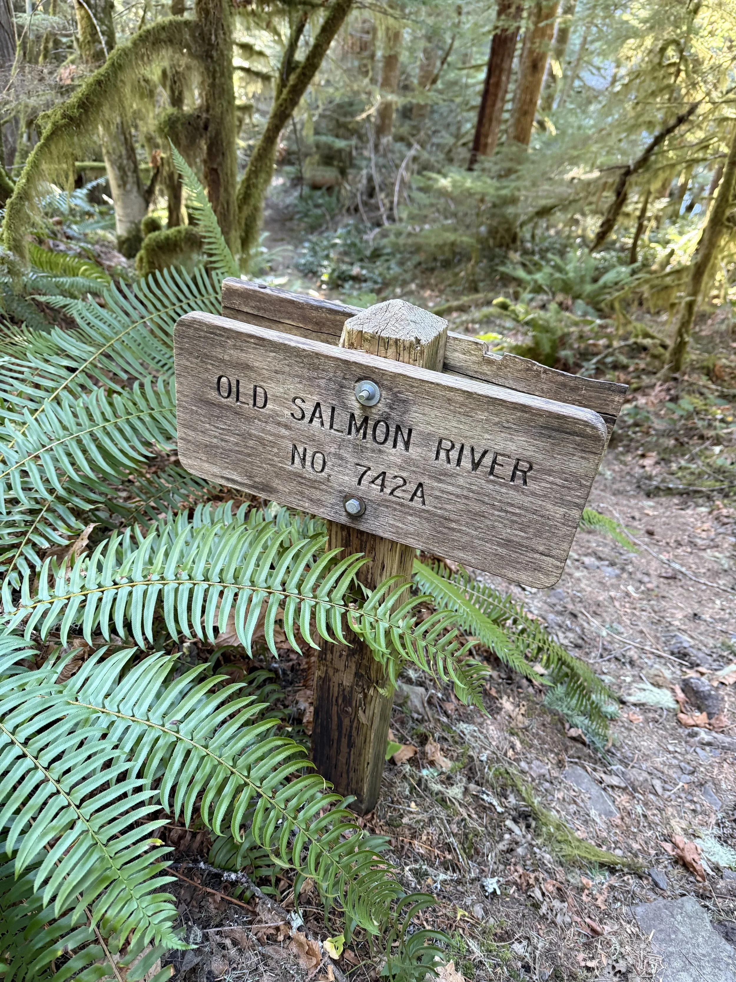 old salmon trail.jpg
