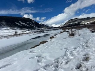 Hike 47: Magic Meadows (Crested Butte, CO)