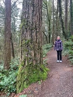 Hike 49: Wildwood Trail (Portland, OR)