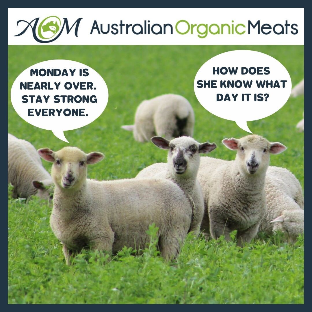 We hope everyone is having a great Monday. It's nearly over and time to go home and cook LAMB for dinner. Go online and see our organic lamb options. 

@australianlamb @dmc_meatandseafood_ 

#AustralianOrganicMeats #AOM #Dubbo #spring #springtime #sp