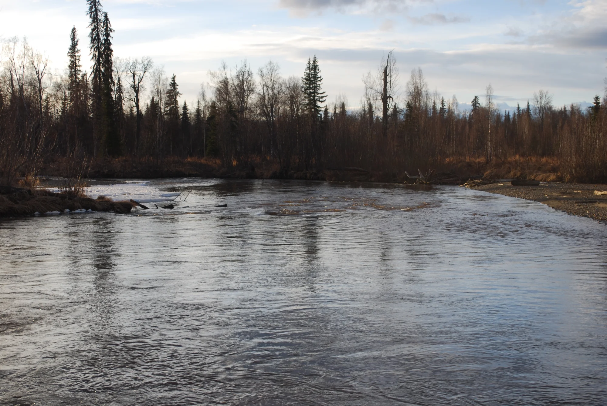 Only a few ice shelves remain along the bank. Photo: Ben Rowell