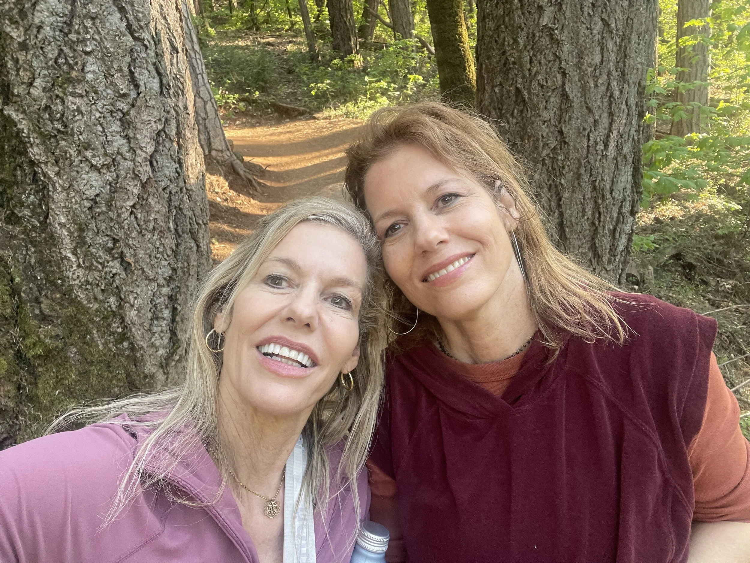 The M &amp; M Method For Phenomenal Relationships