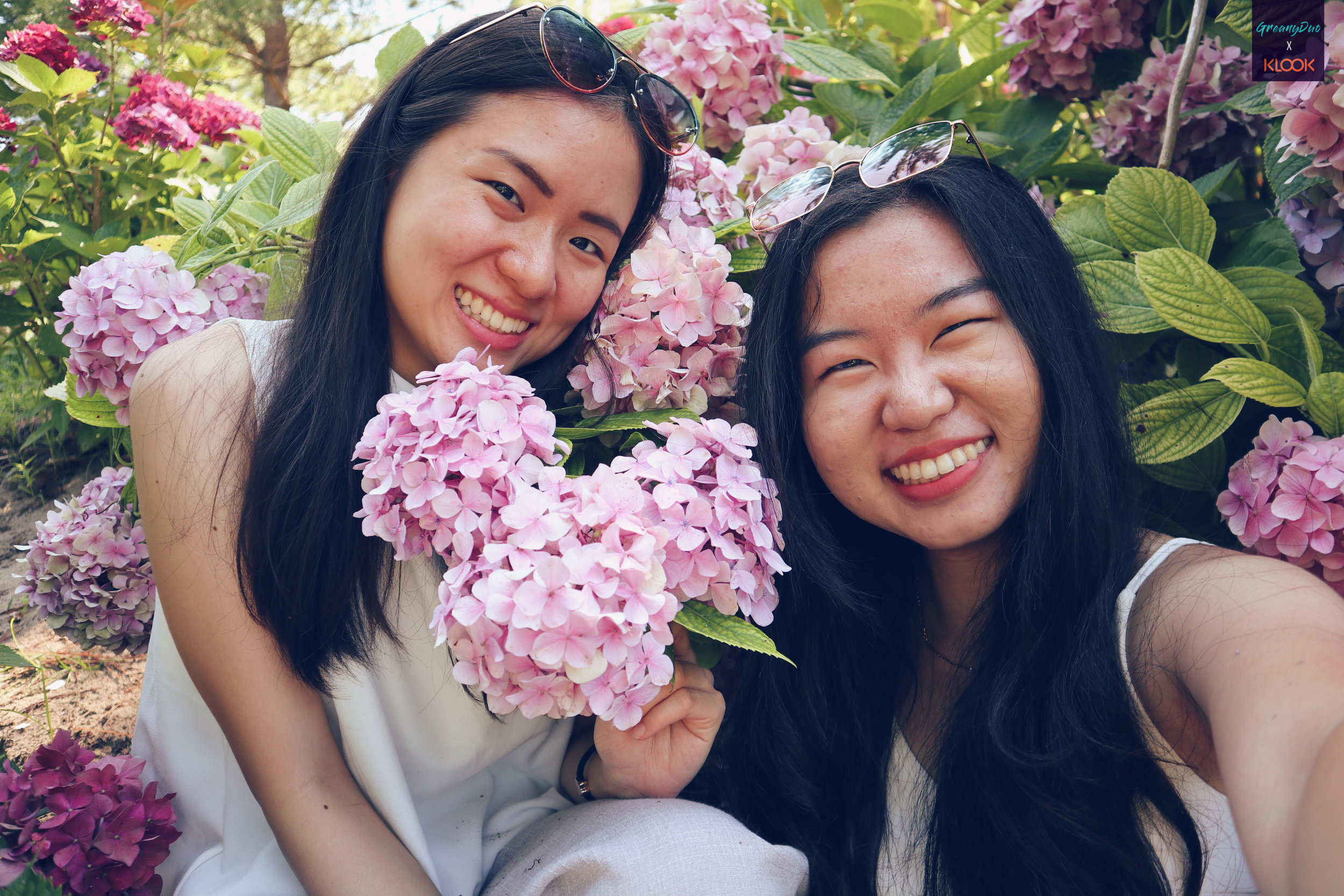 jenny and tina posting with hydrangea flower at hallim park, jeju