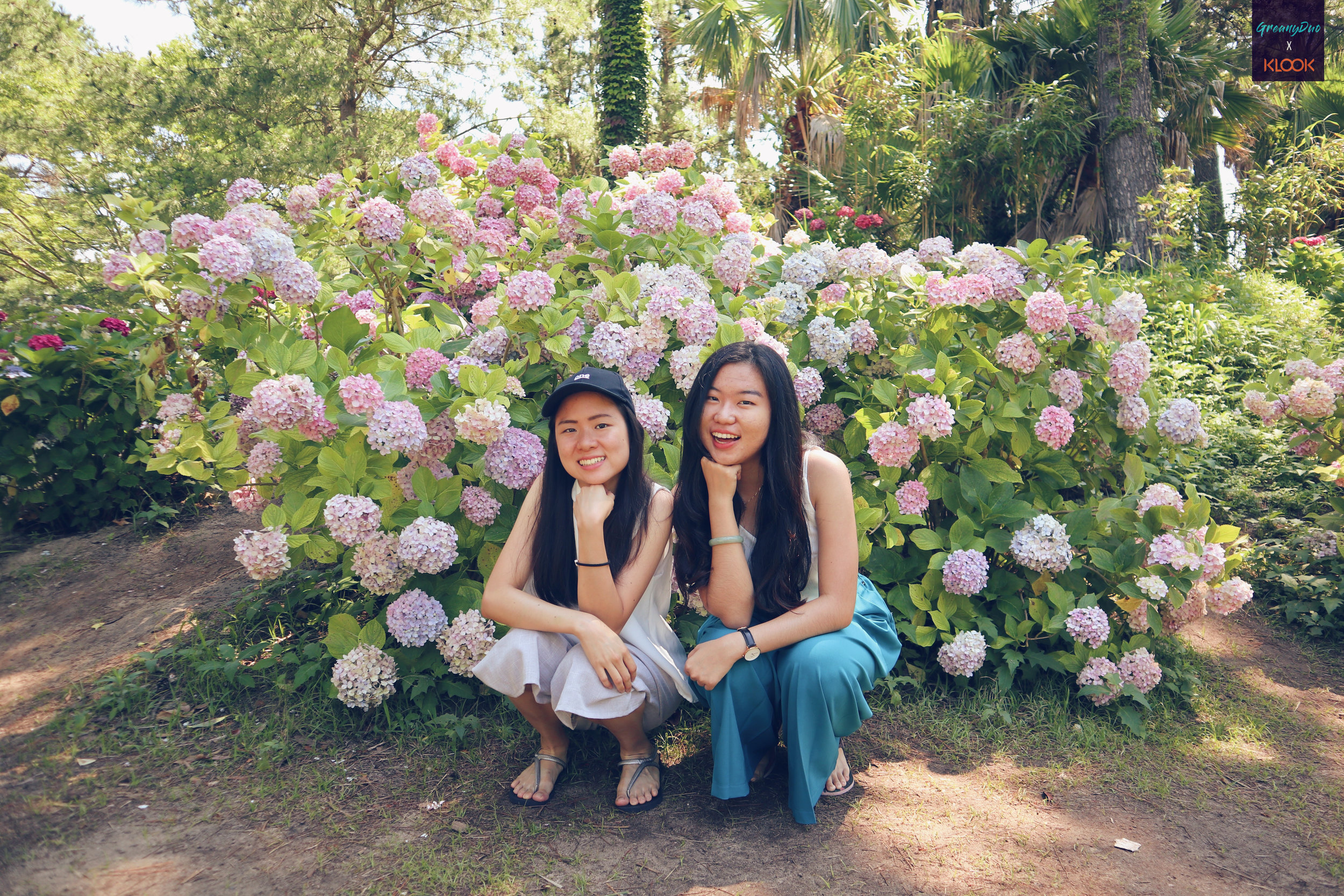 jenny and tina posting with hydrangea flower at hallim park, jeju