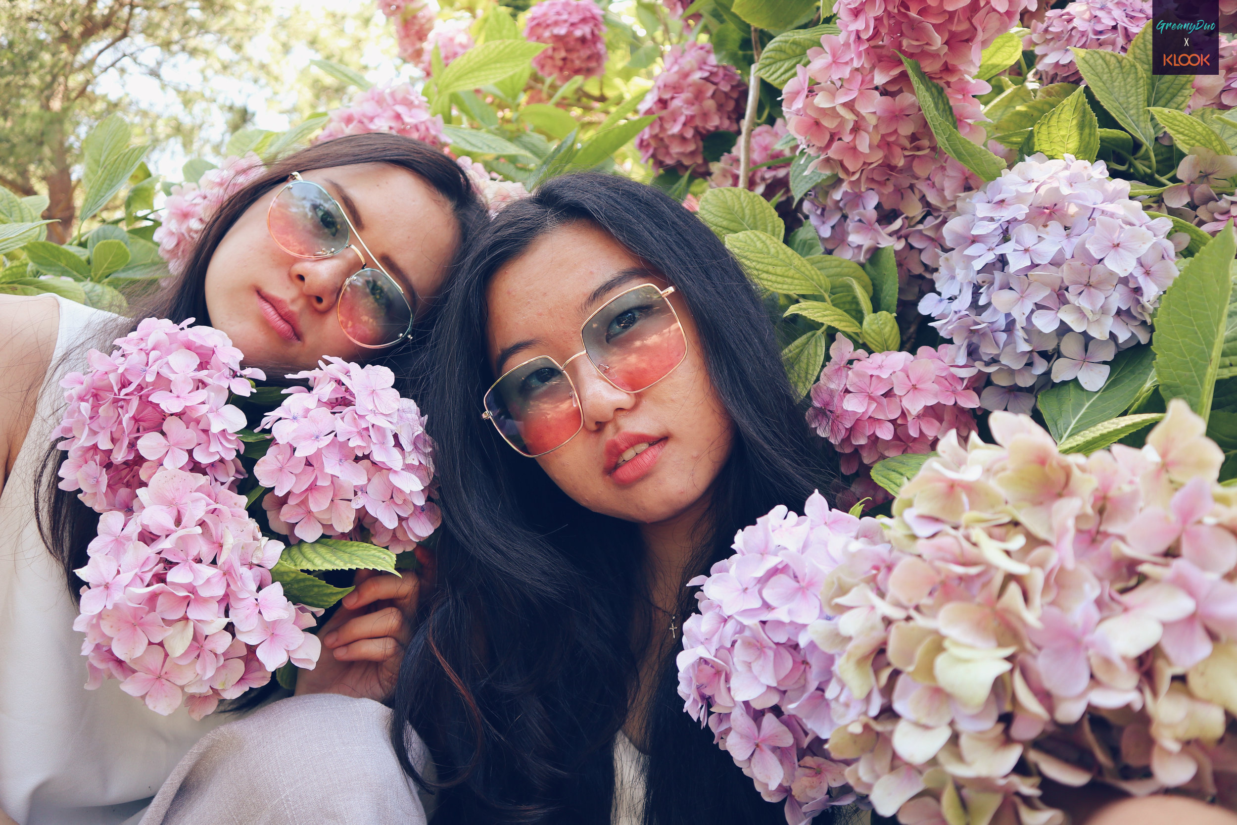 jenny & tina posting with hydrangea flower at halliam park, jeju