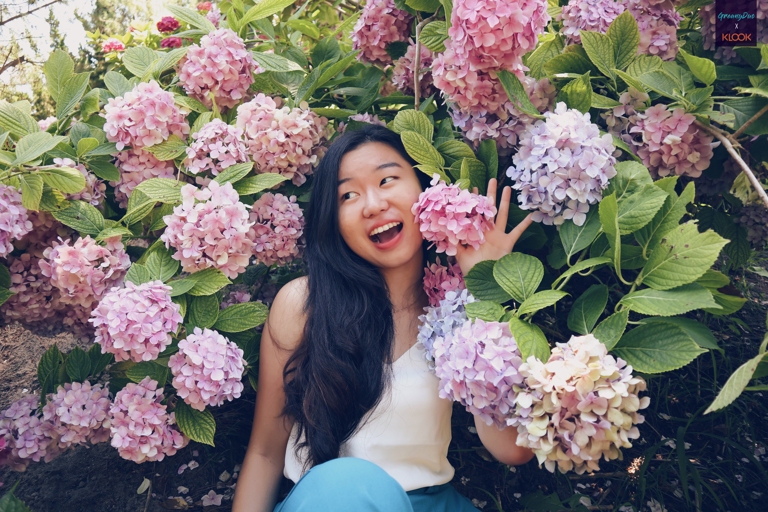 tina posting with hydrangea flower at halliam park, jeju