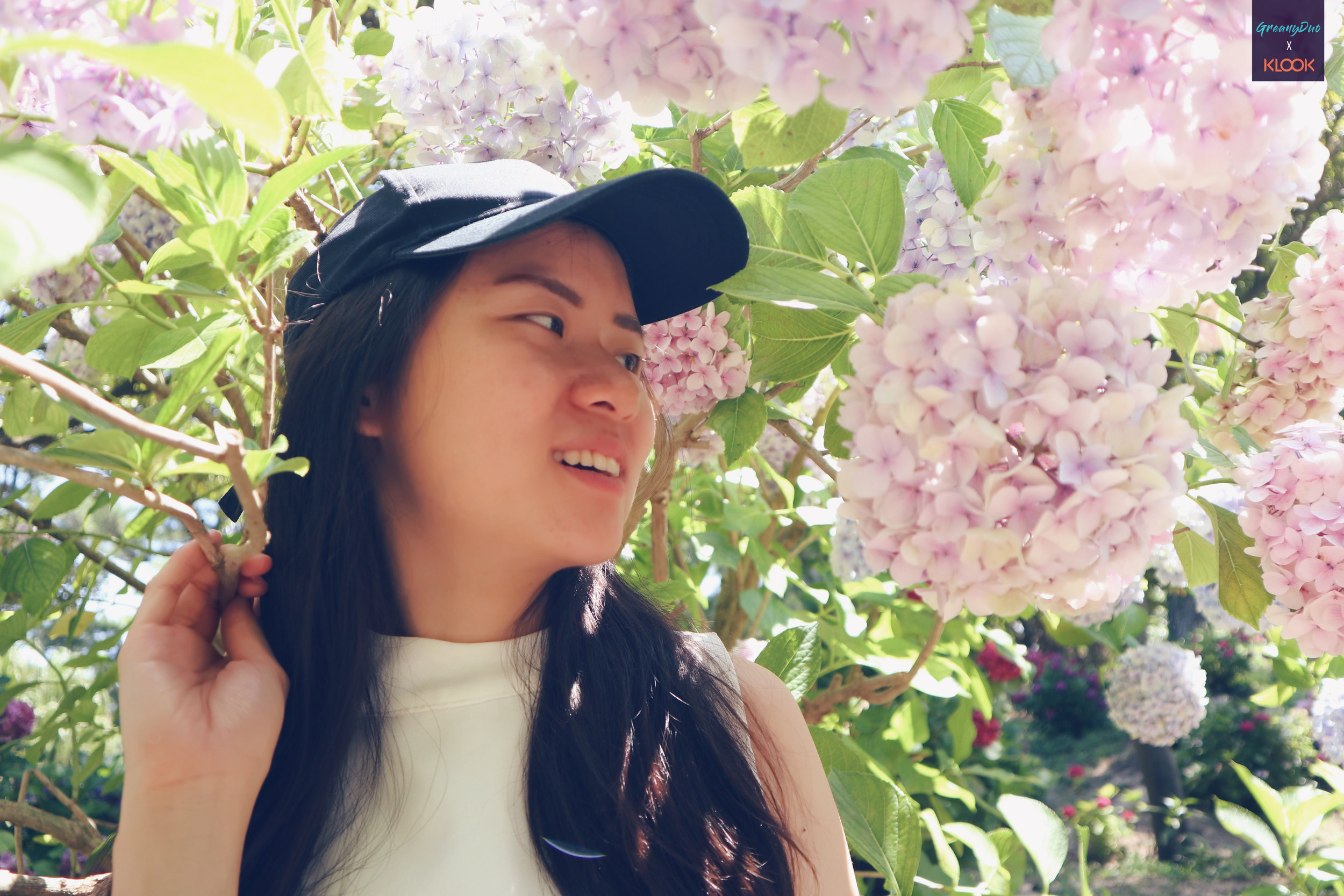 close up of jenny posting with hydrangea flower at halliam park, jeju