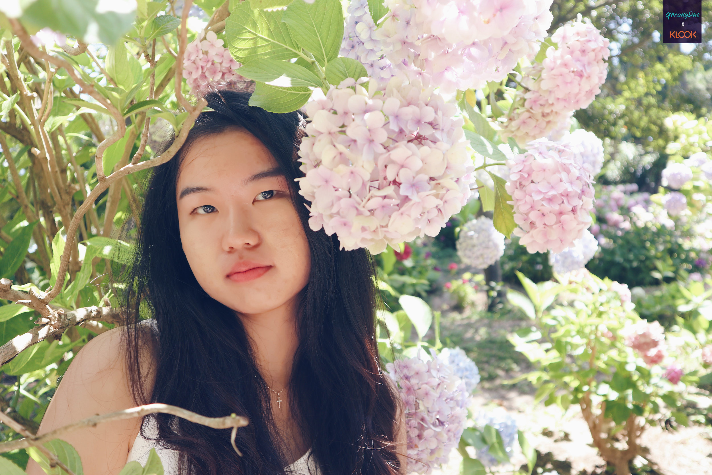 close up of tina posting with hydrangea flower at halliam park, jeju