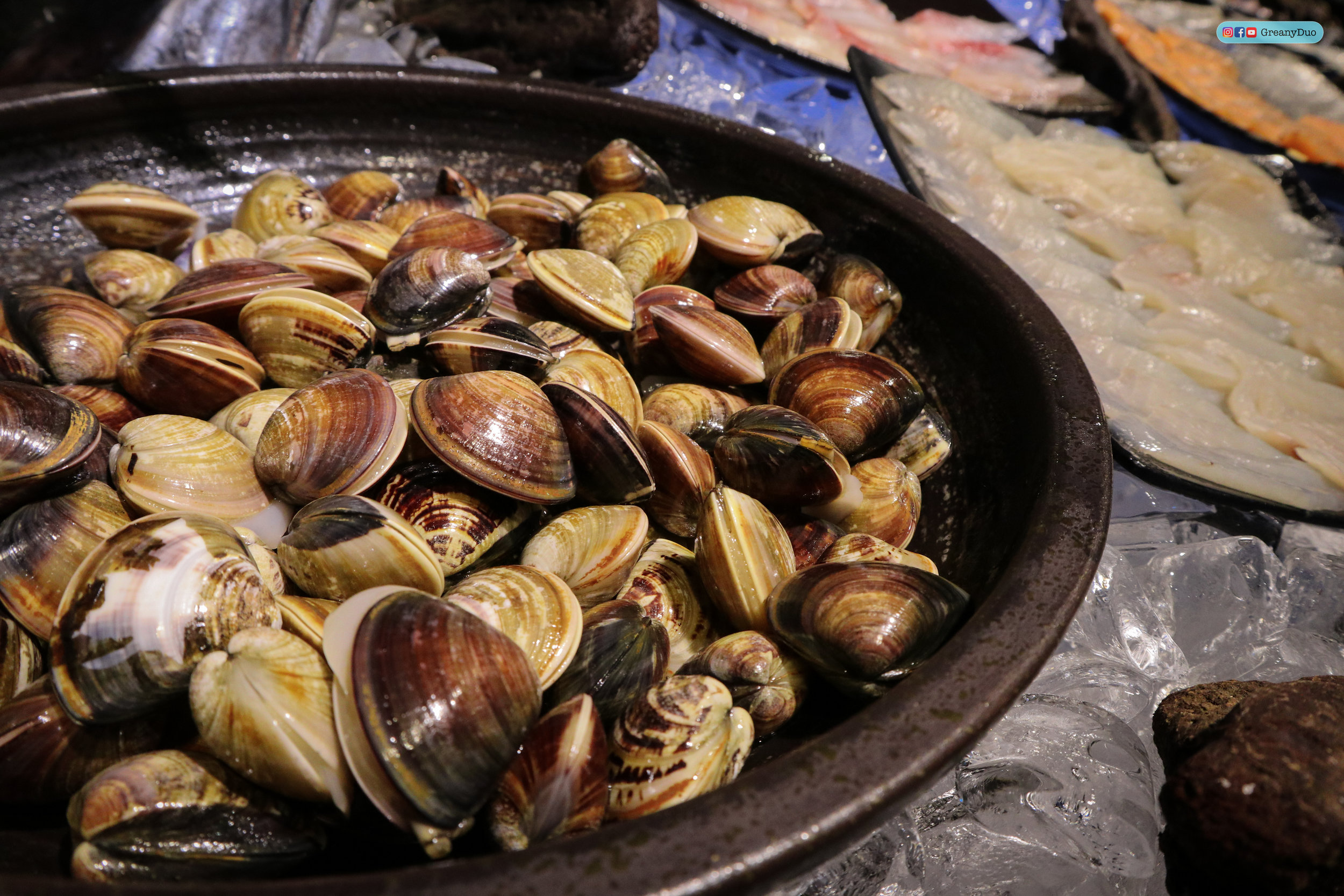 fresh shells at บุฟเฟ่ต์ชาบูไต้หวันที่ Hakkai Shabu Shabu ซีเหมินติง