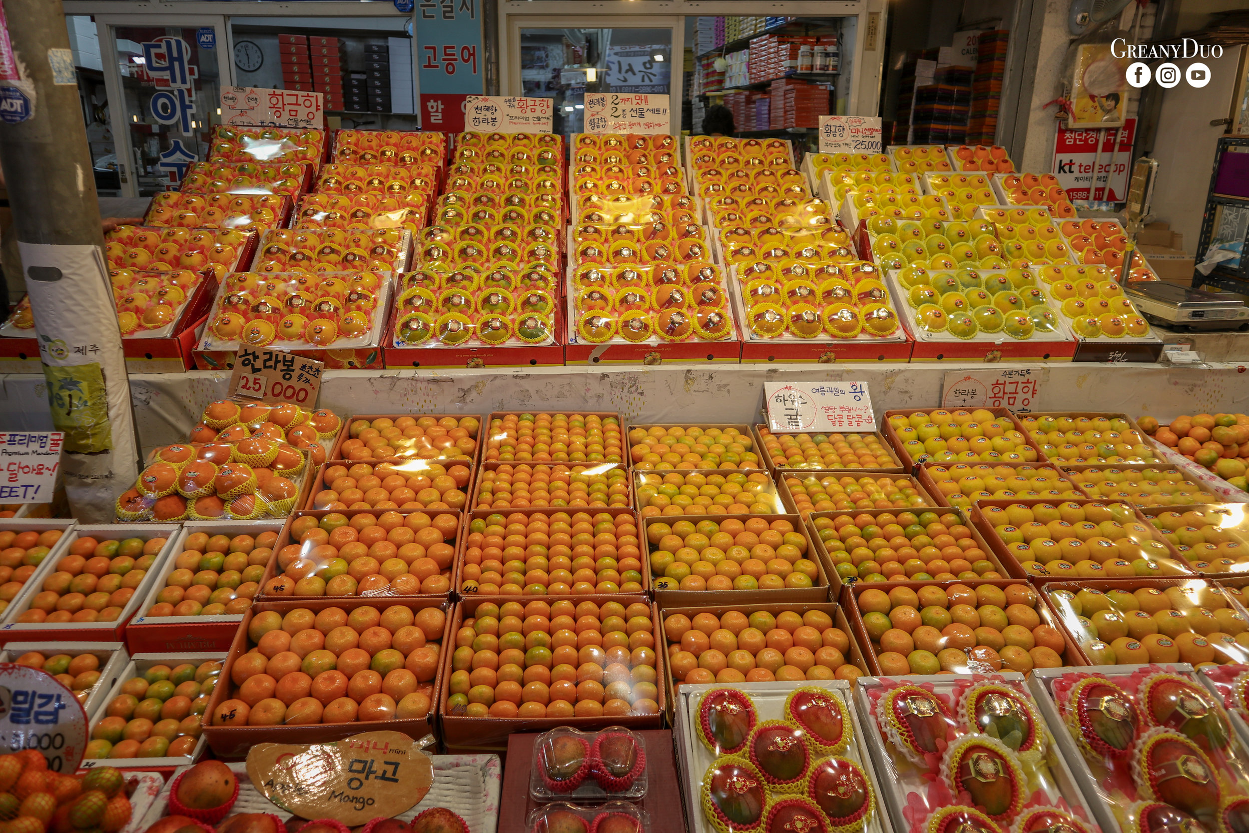 orange, dongmun market, jeju