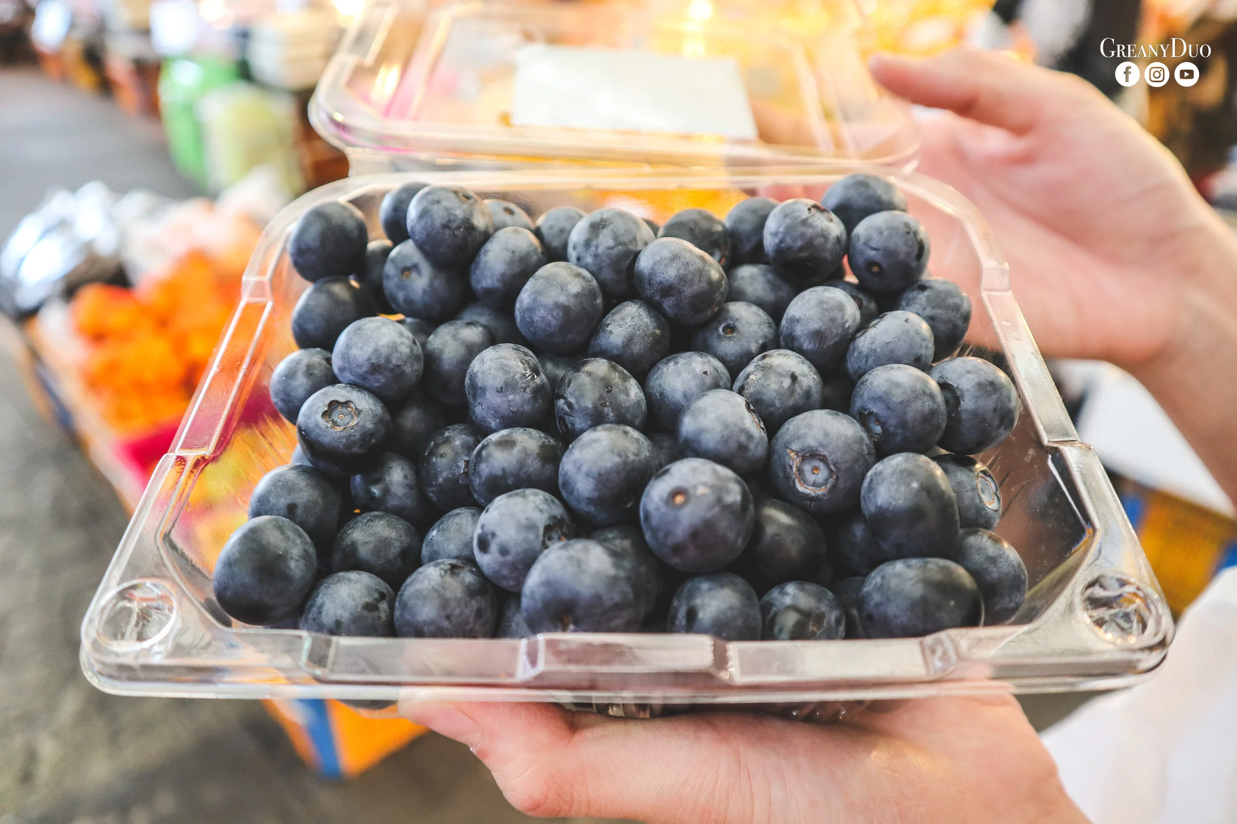 blueberry, dongmun market, jeju