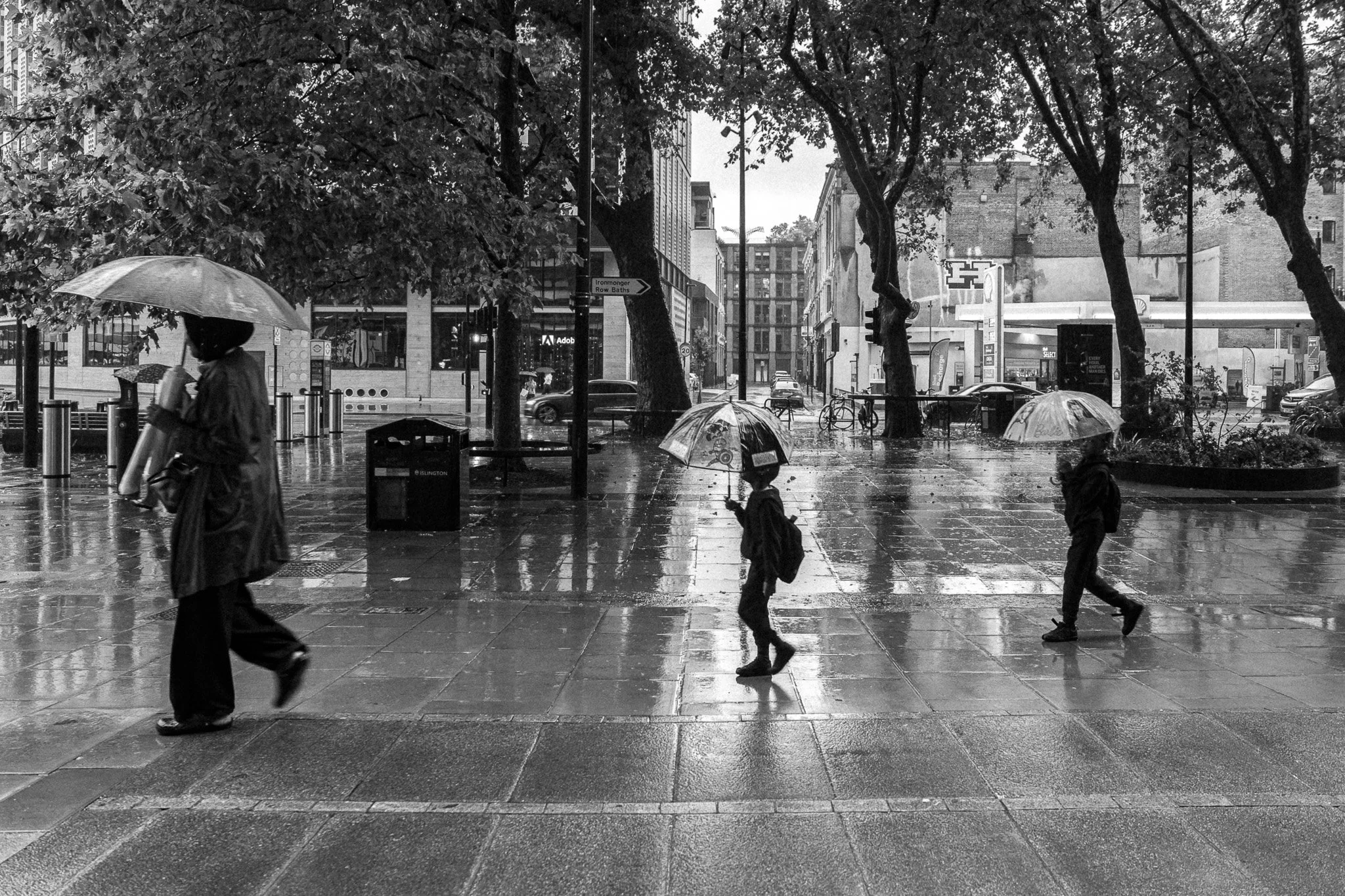 _7190034-DxO_DeepPRIME 3.jpg