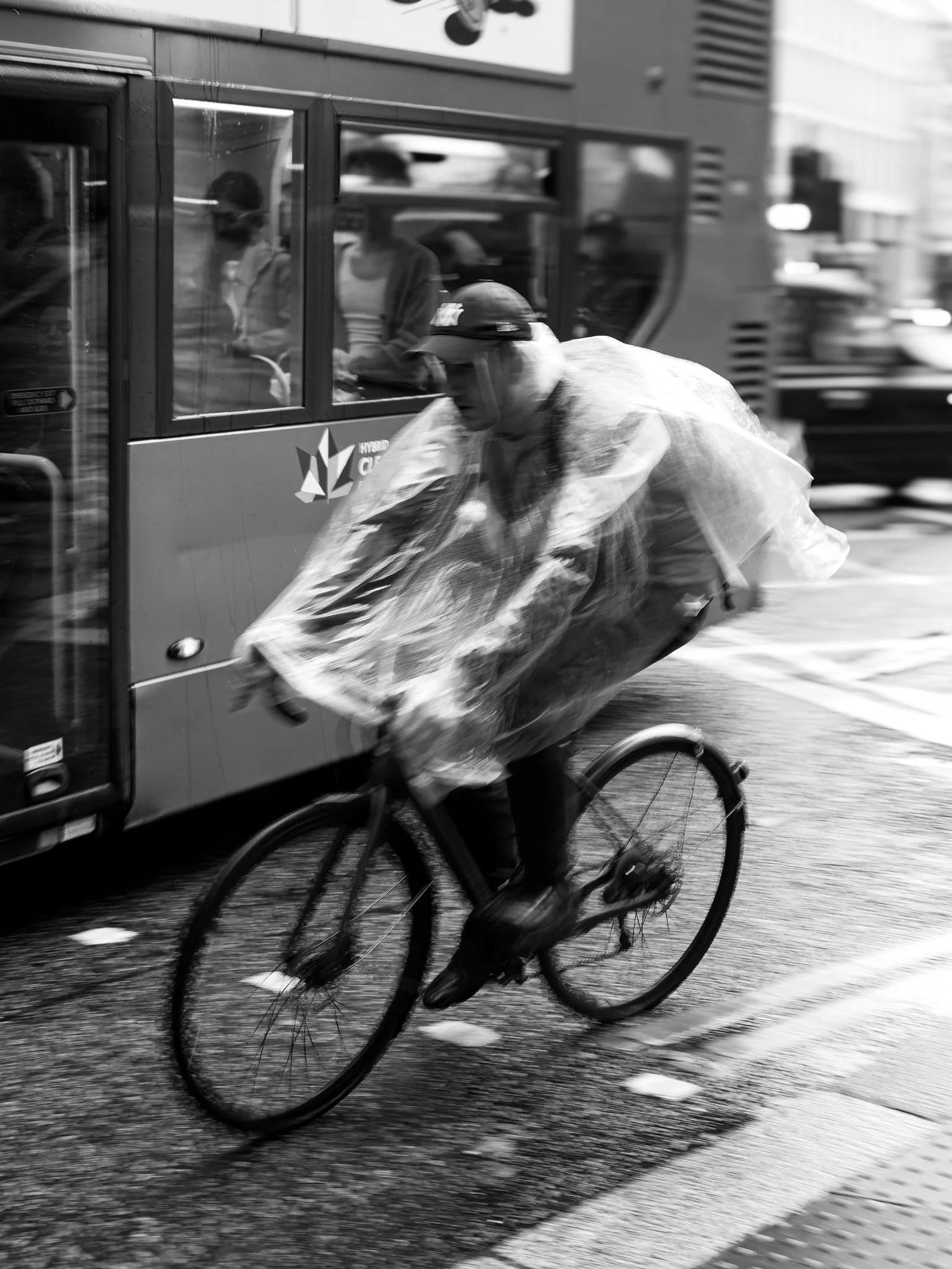 _7190091-DxO_DeepPRIME 3.jpg