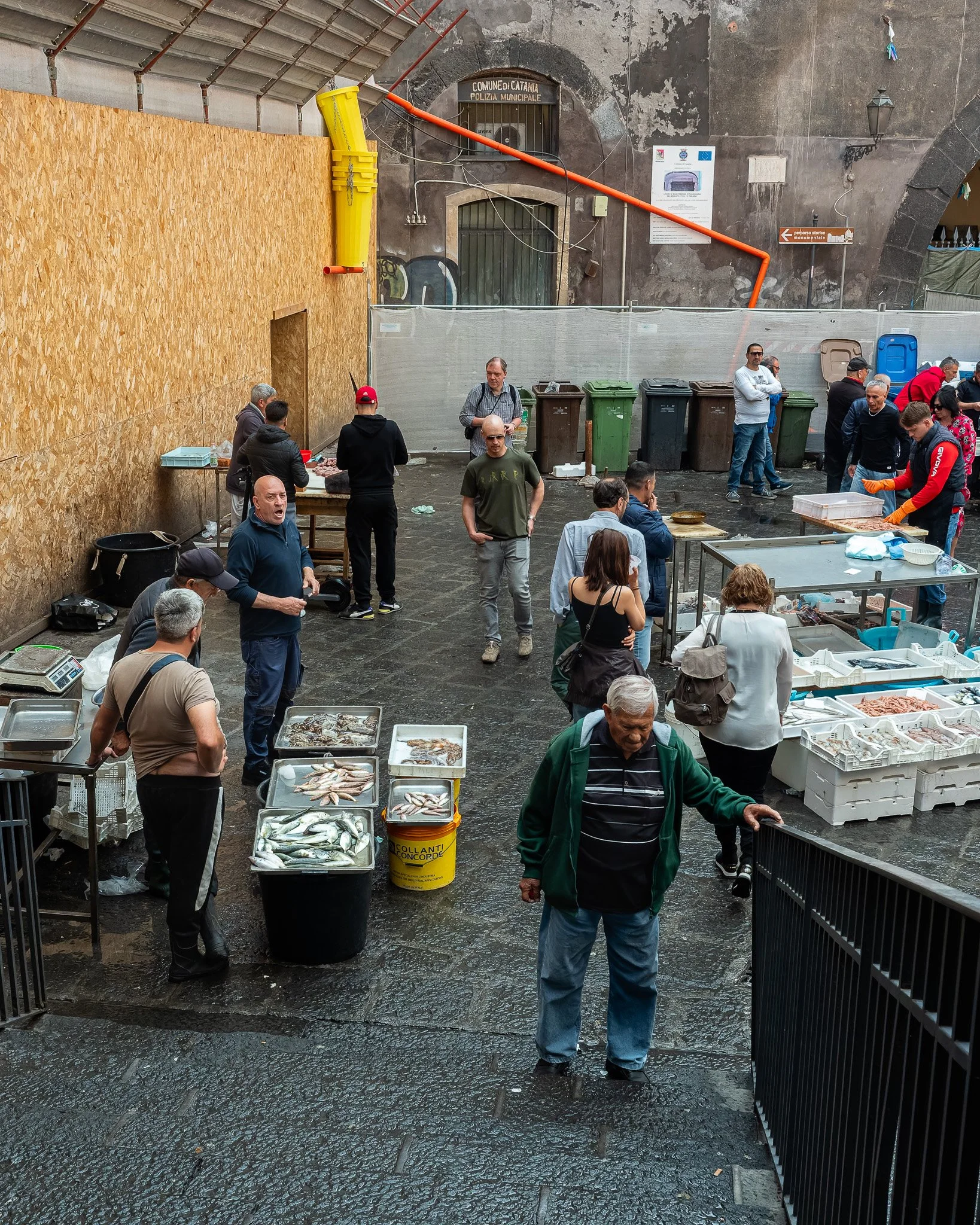 _5100334-DxO_DeepPRIME 3.jpg