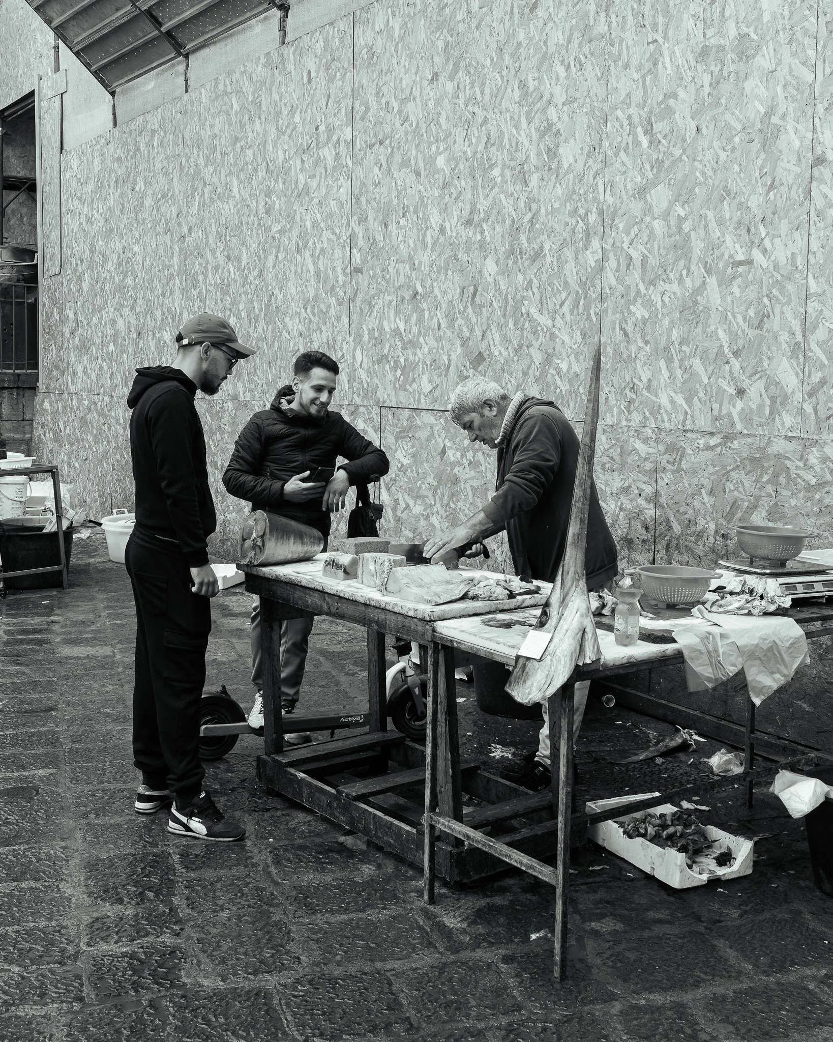 _5100336-DxO_DeepPRIME 3.jpg