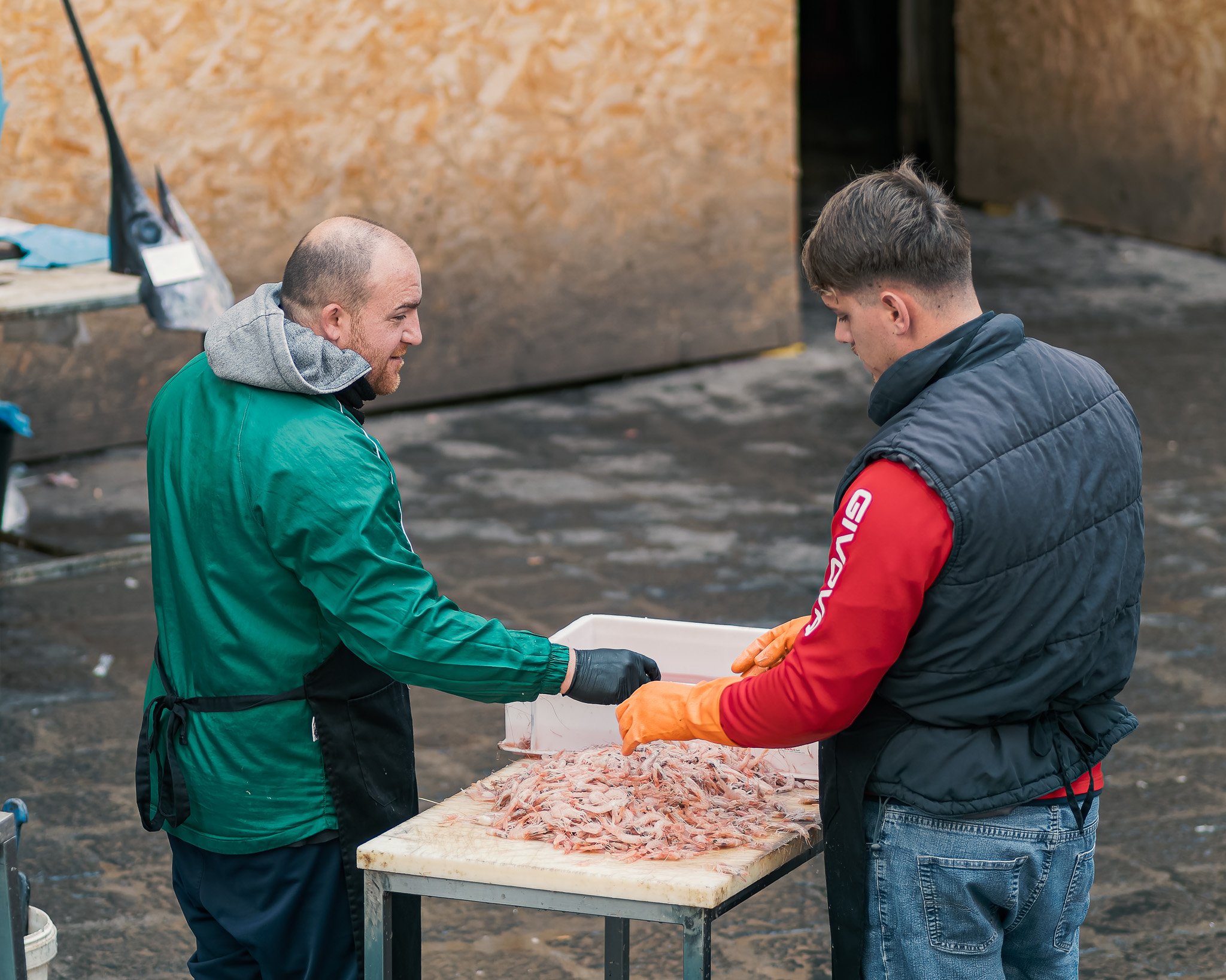 _5100379-DxO_DeepPRIME 3.jpg