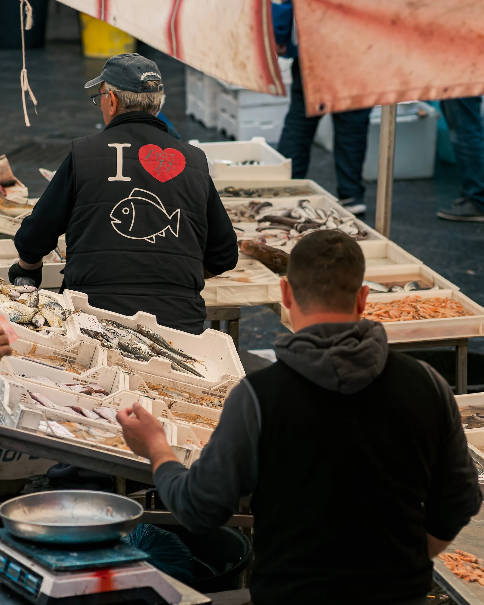 _5100369-DxO_DeepPRIME 3.jpg