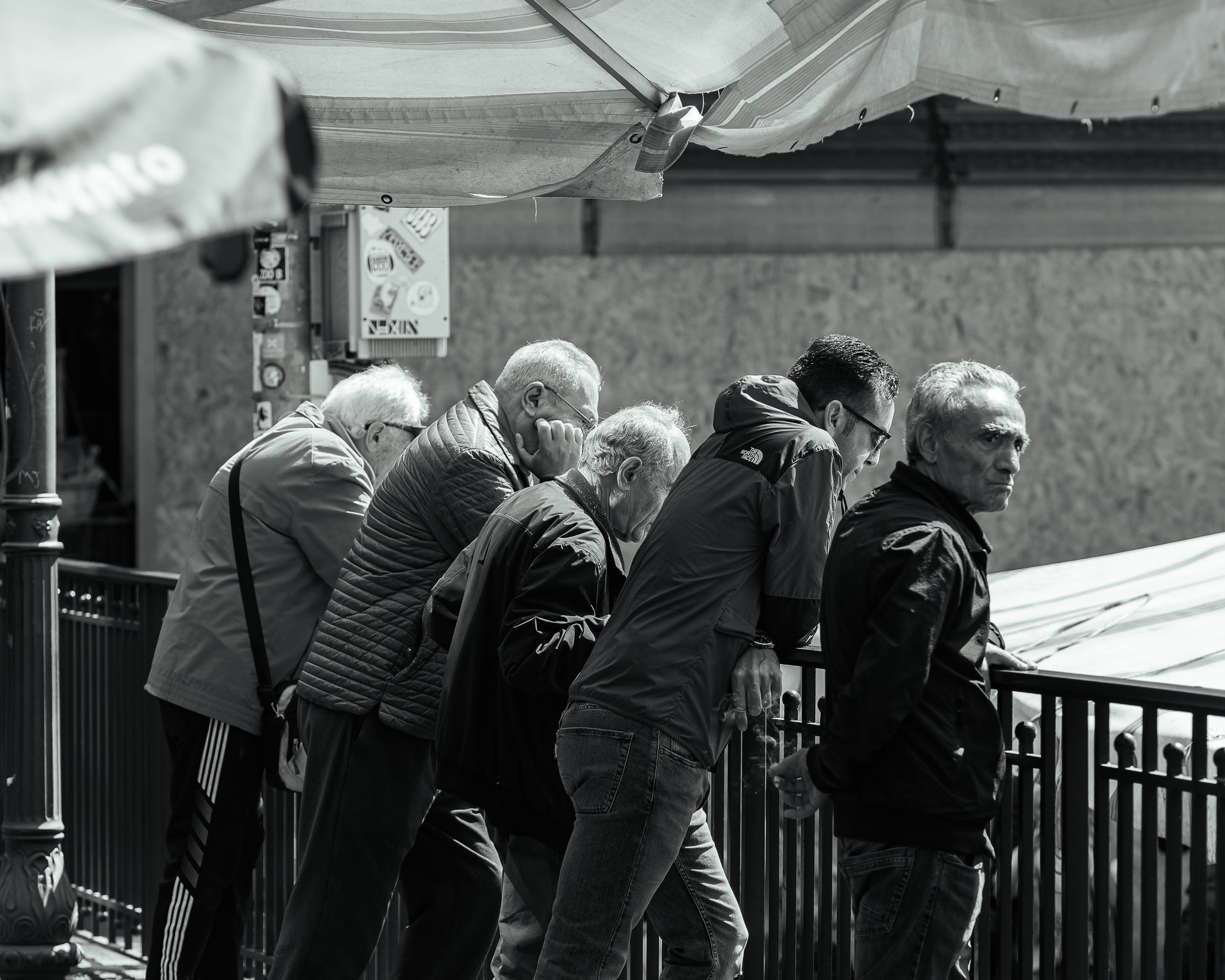 _5100367-DxO_DeepPRIME 3.jpg