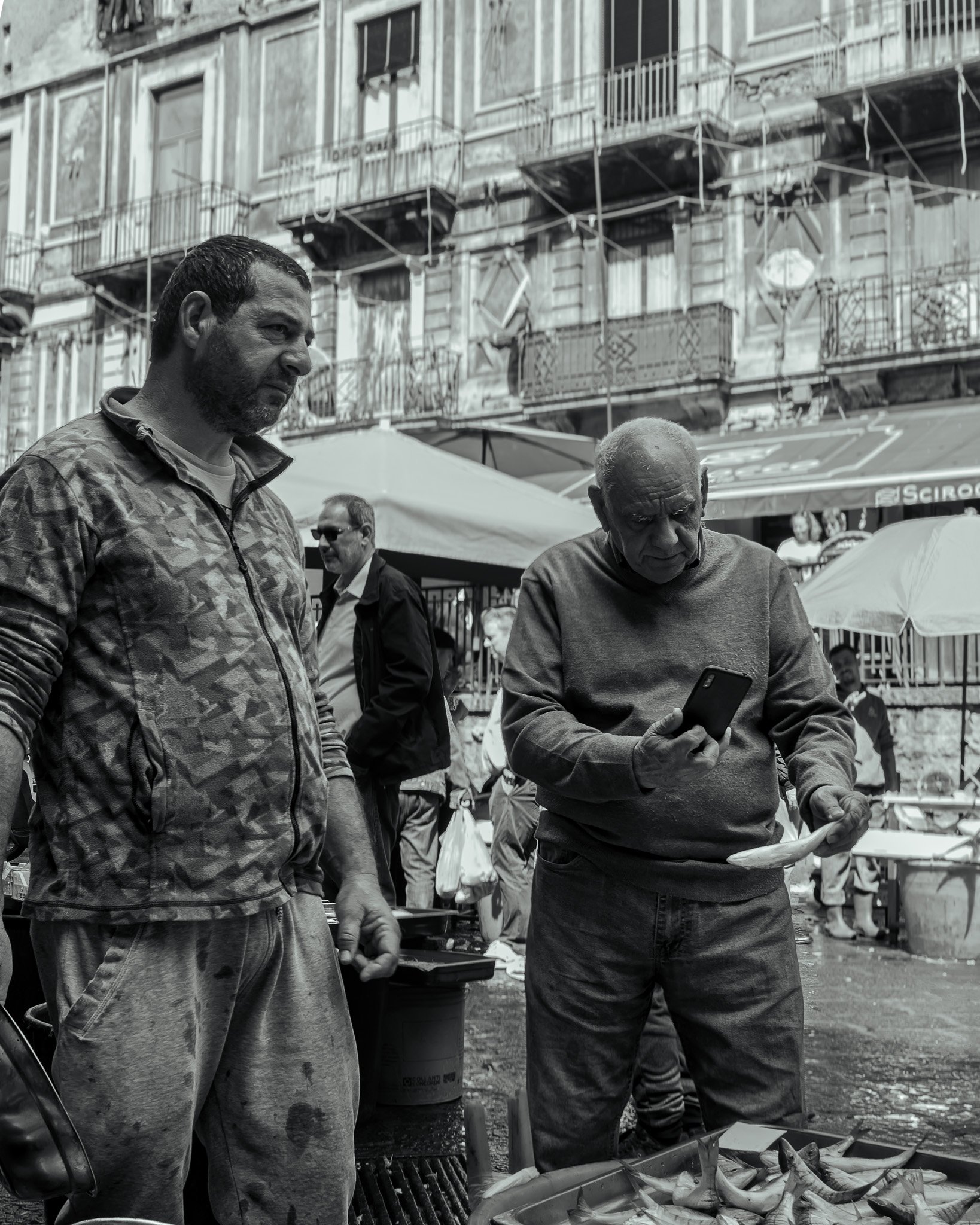 _5100339-DxO_DeepPRIME 3.jpg