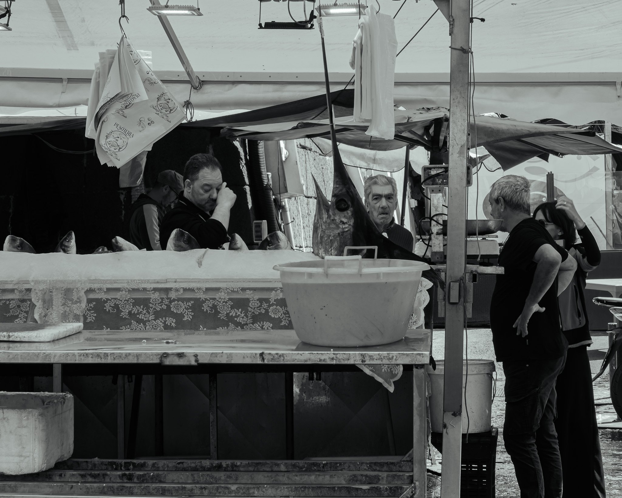 _5100349-DxO_DeepPRIME 3.jpg