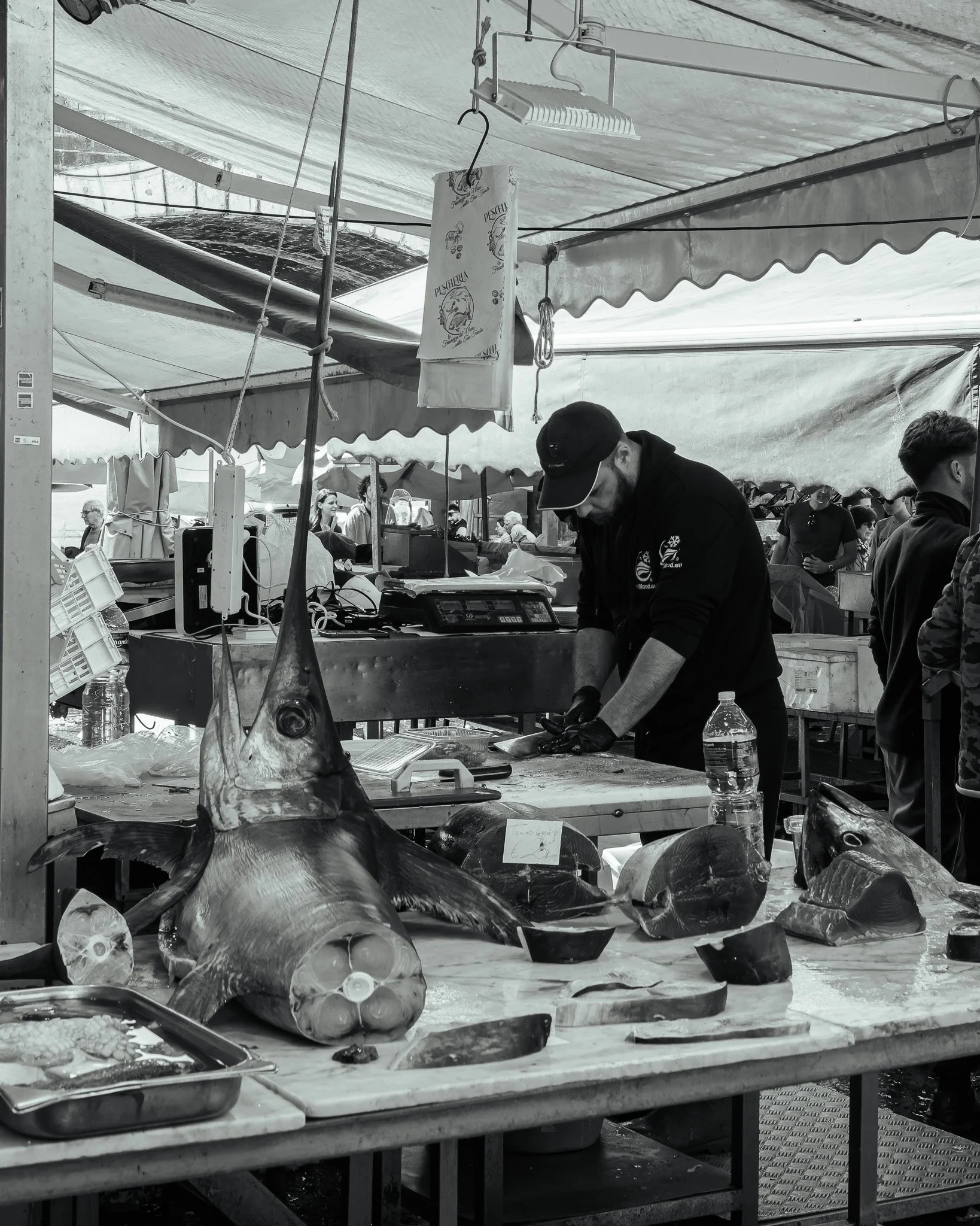 _5100350-DxO_DeepPRIME 3.jpg