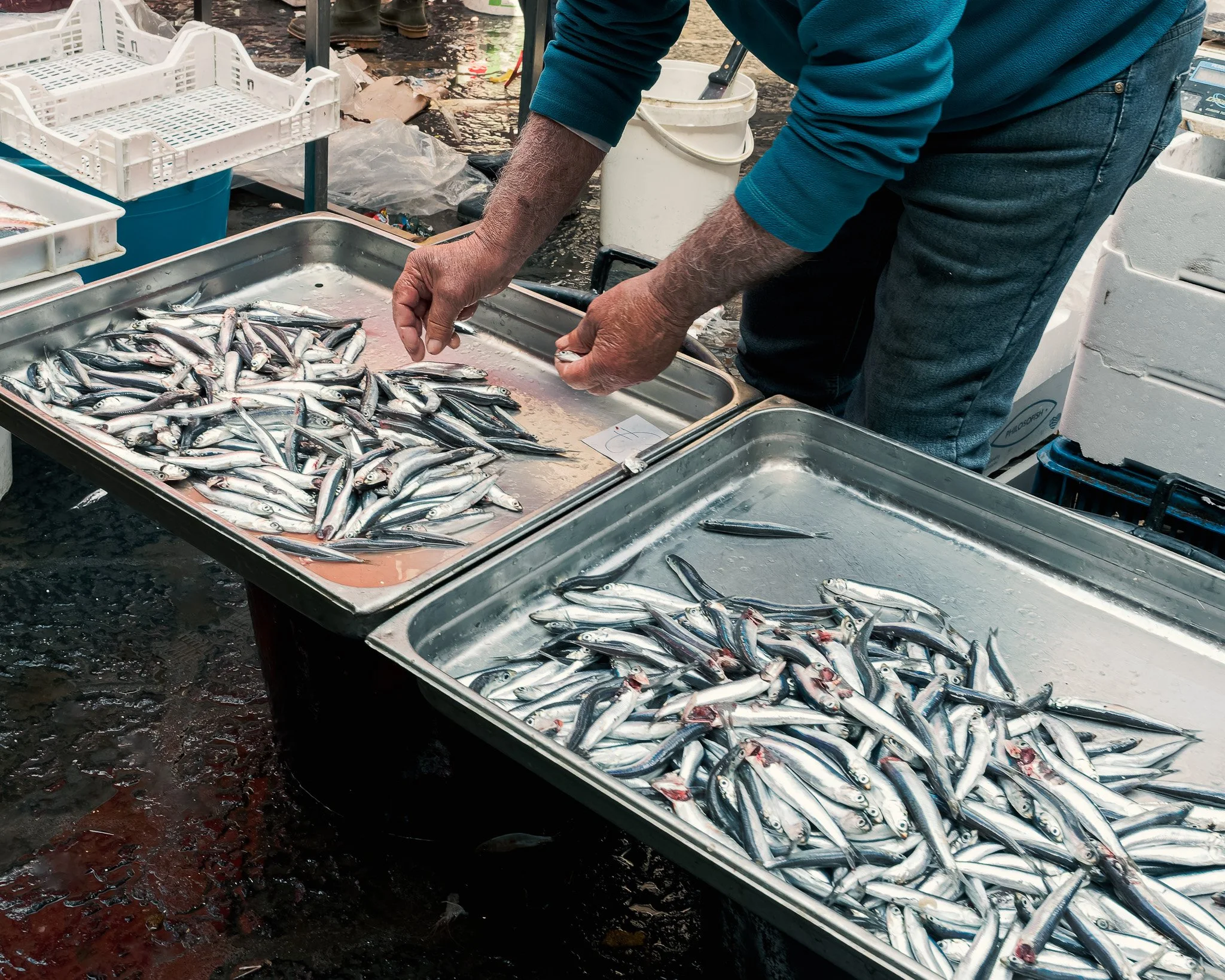 _5100337-DxO_DeepPRIME 3.jpg