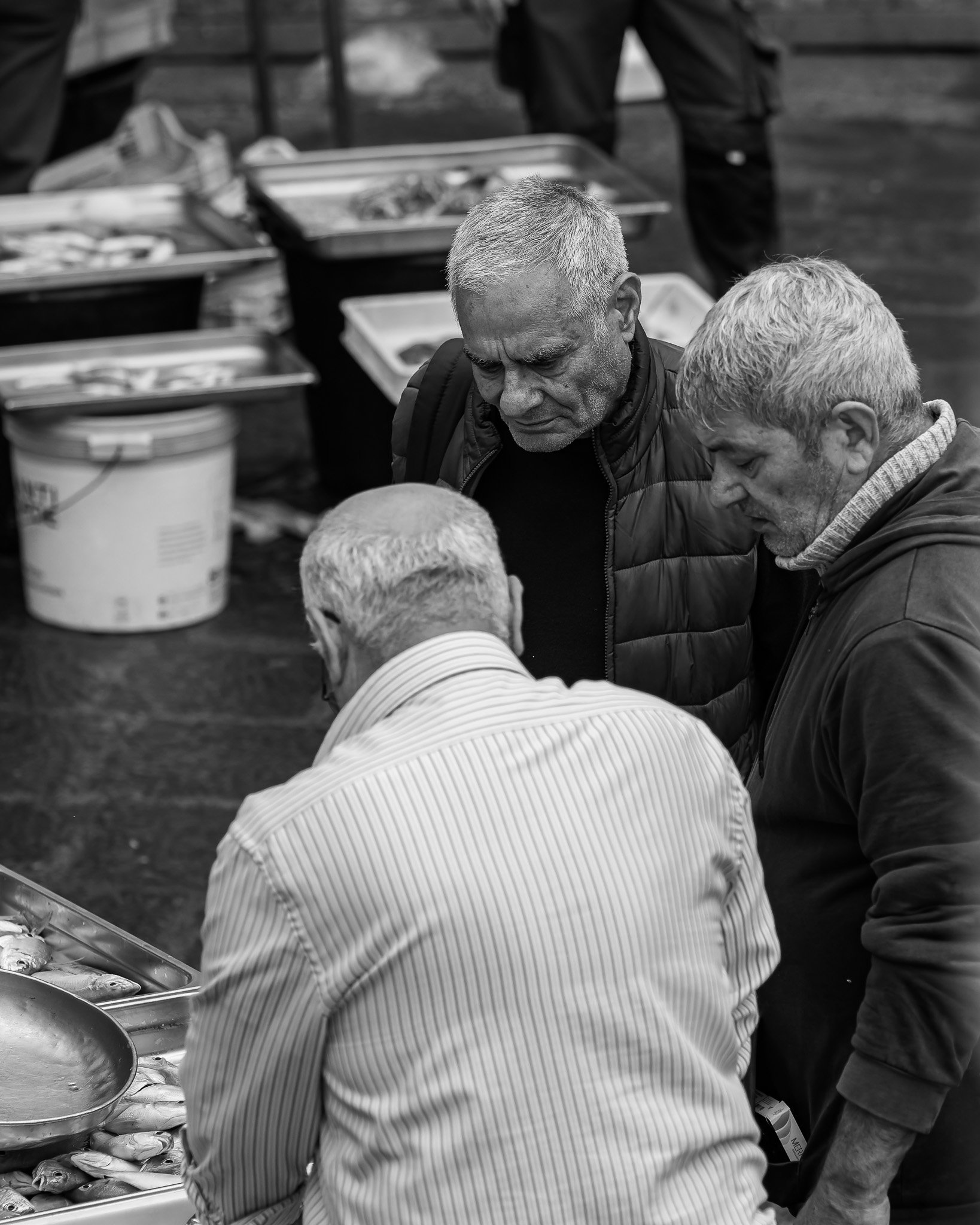 _5100374-DxO_DeepPRIME 3.jpg