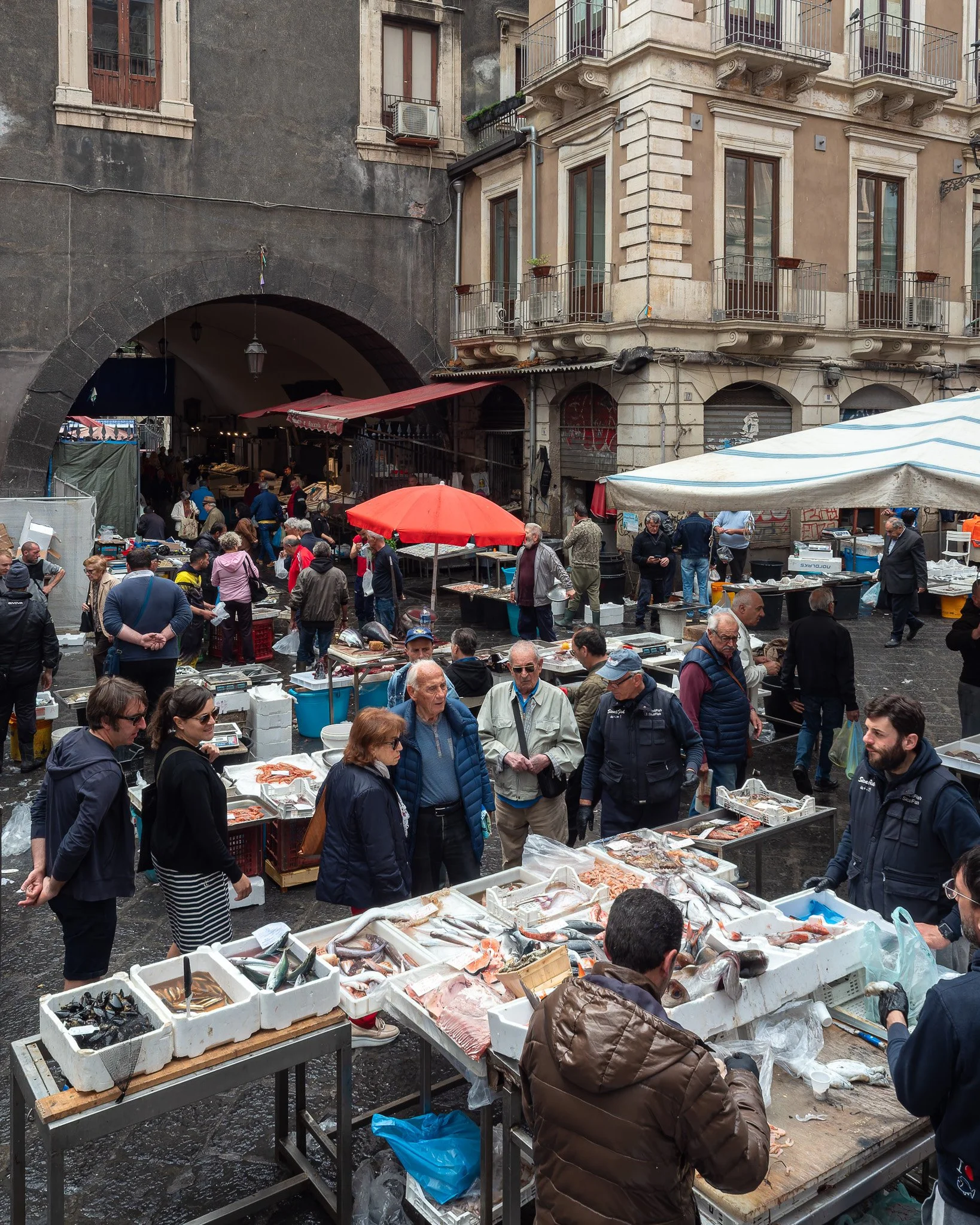 _5070221-DxO_DeepPRIME 3.jpg