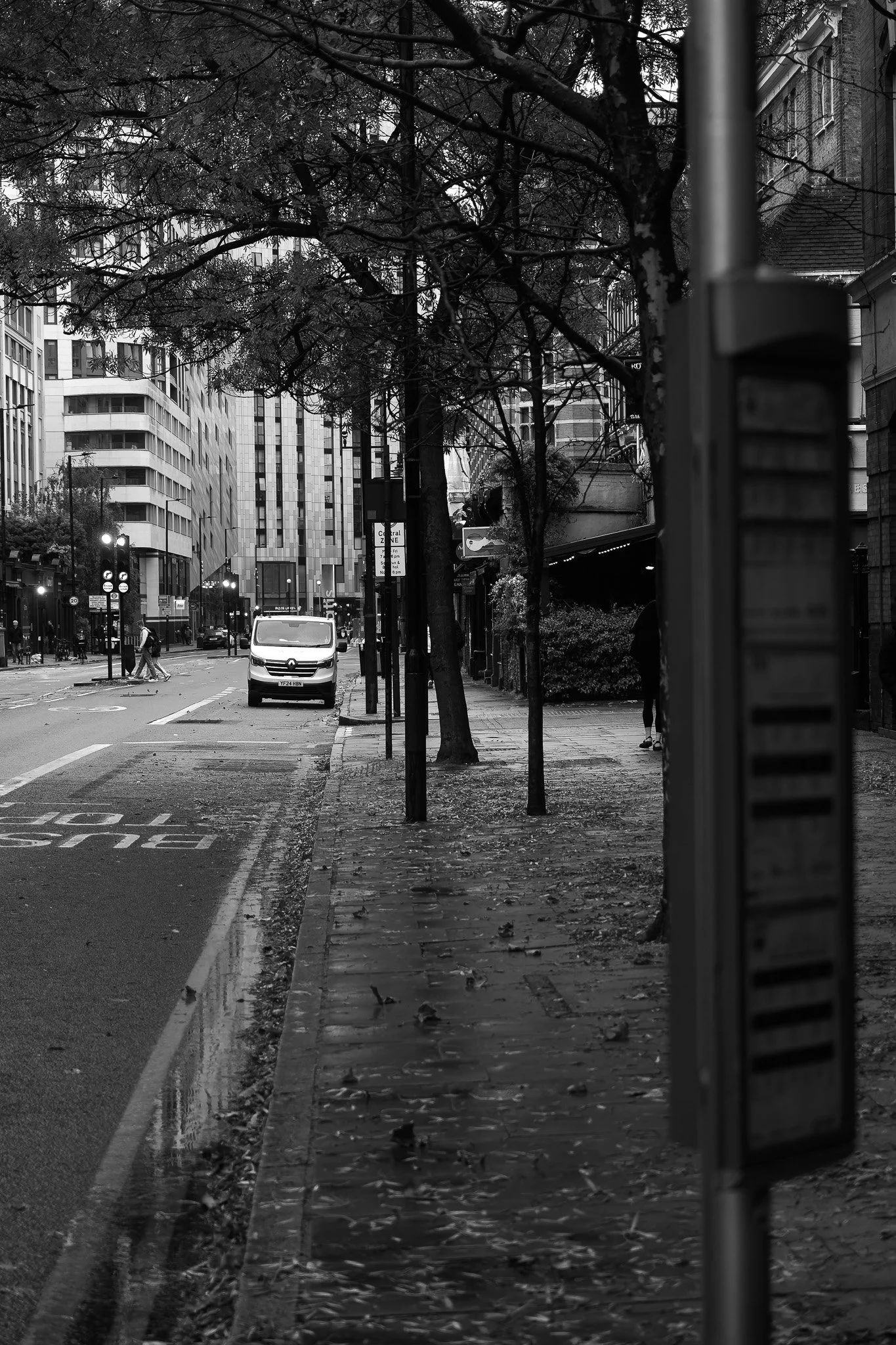 _A190014-DxO_DeepPRIME XD2s_XD.jpg