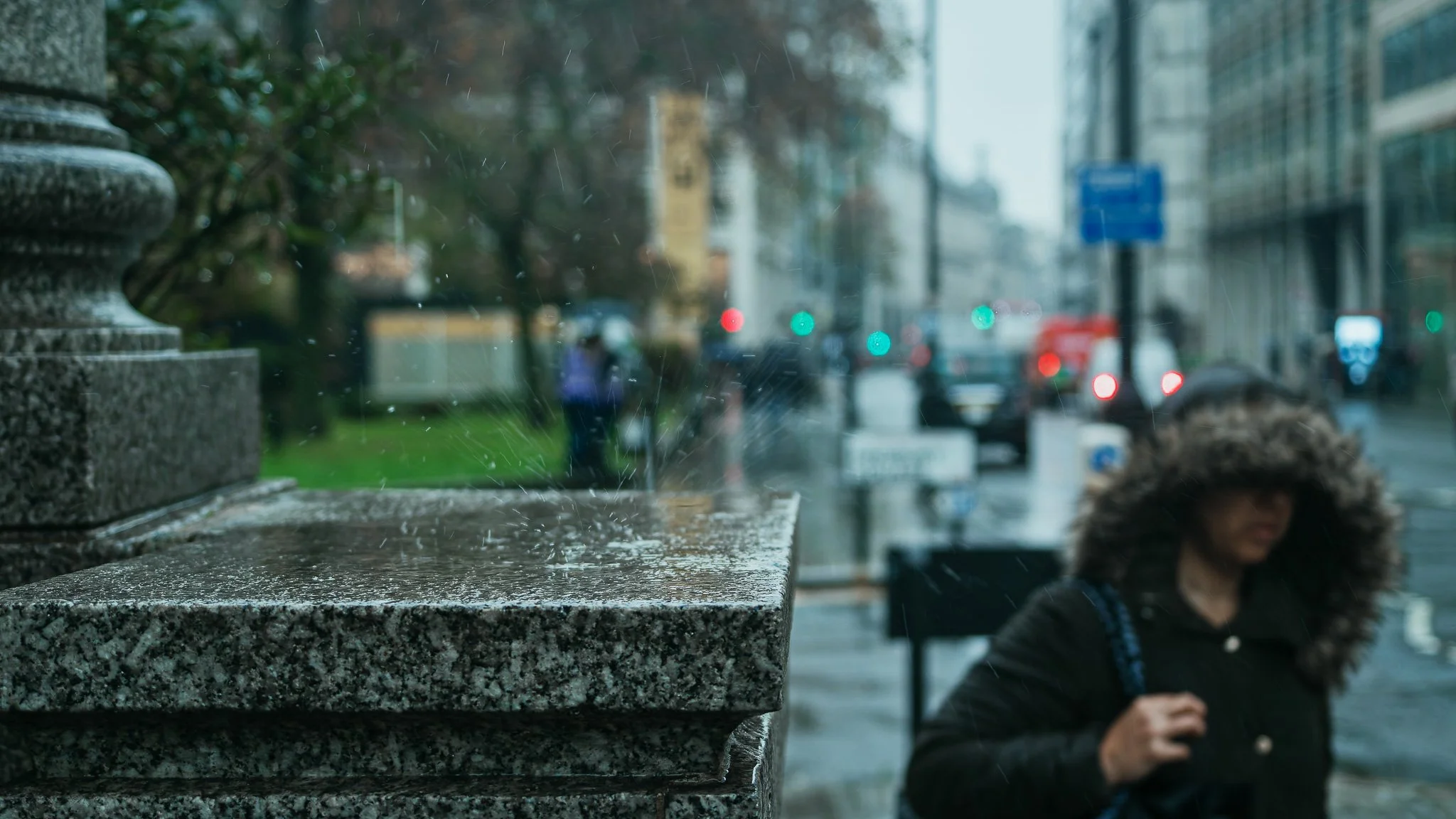 _B140719-DxO_DeepPRIME XD2s.jpg