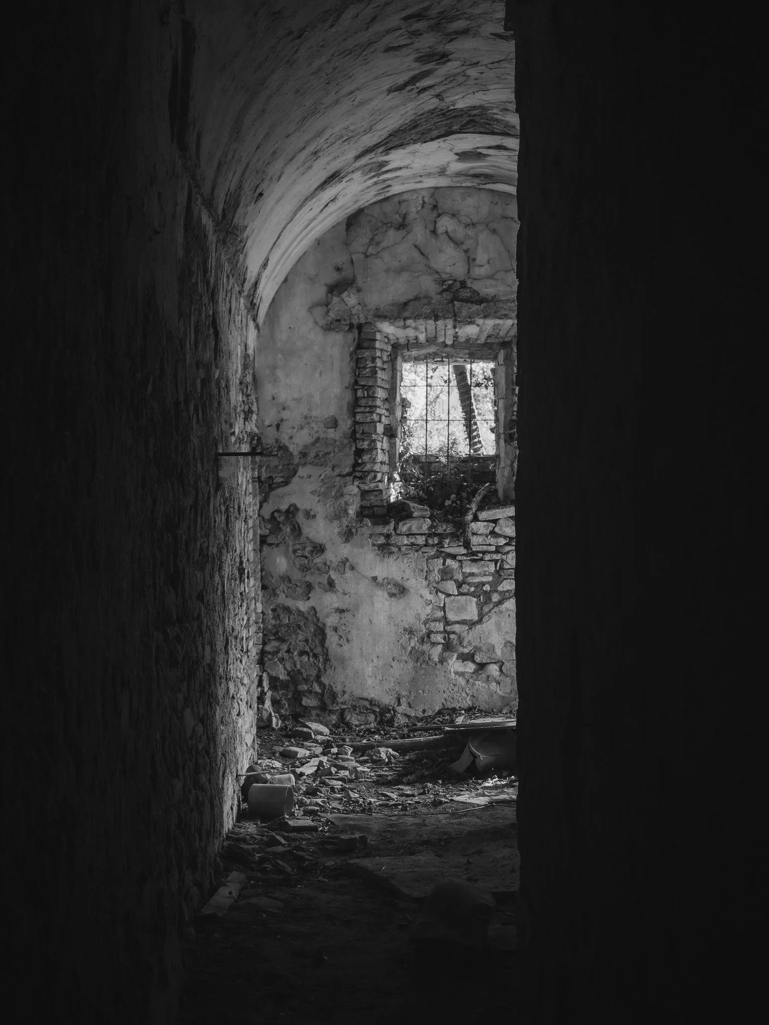 _5050184-DxO_DeepPRIME 3.jpg