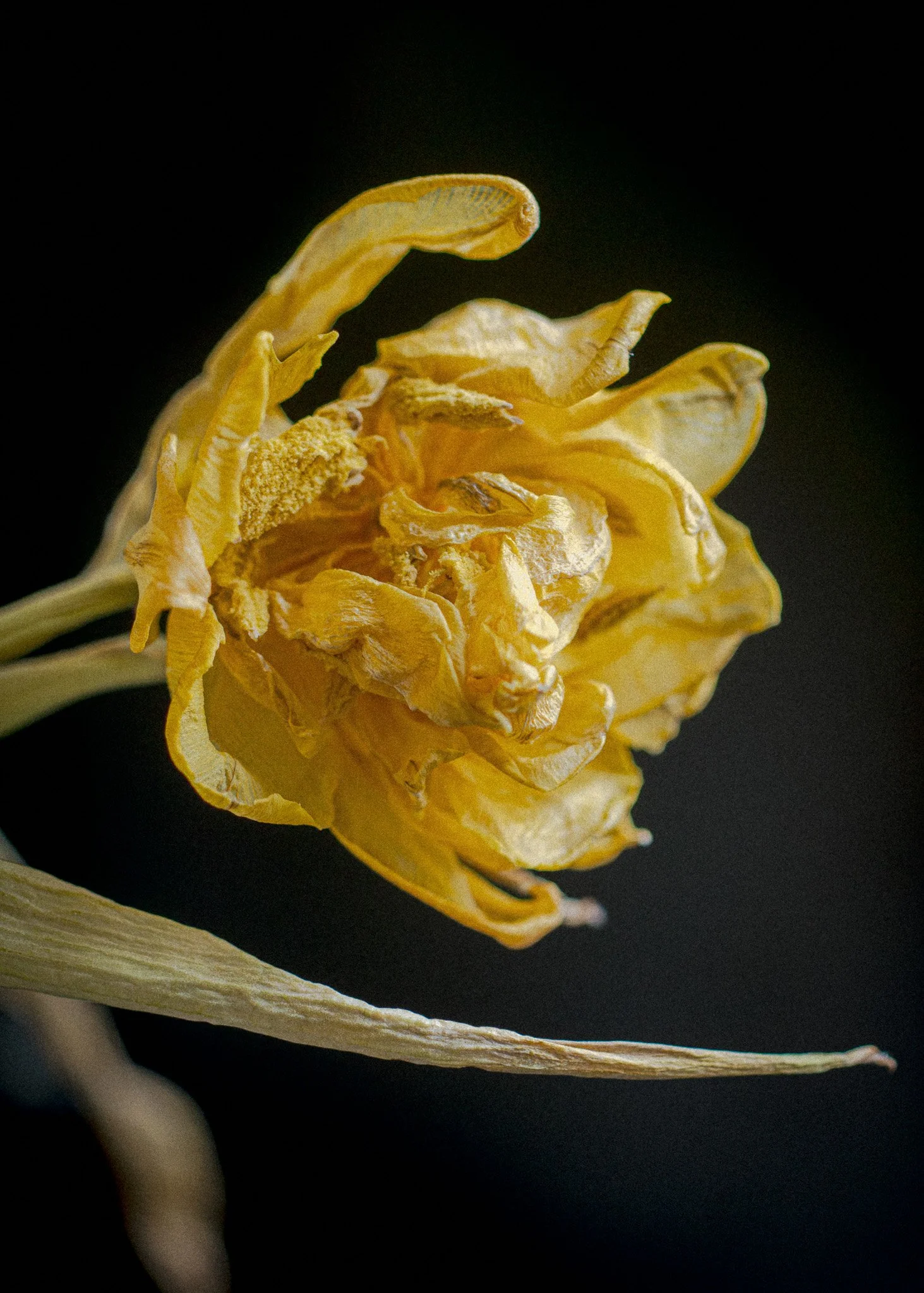 _4100036.jpg