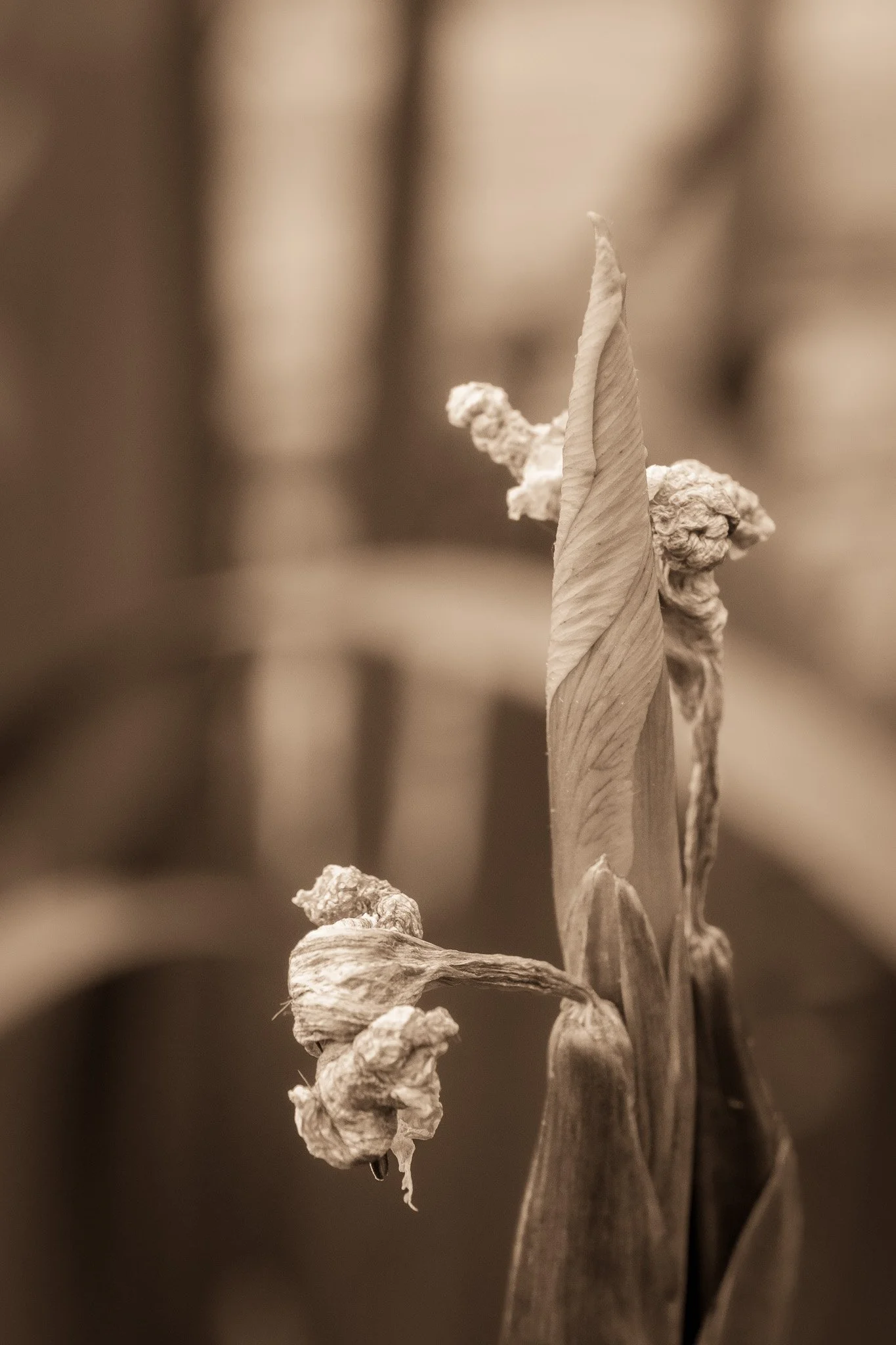 _5160150.jpg