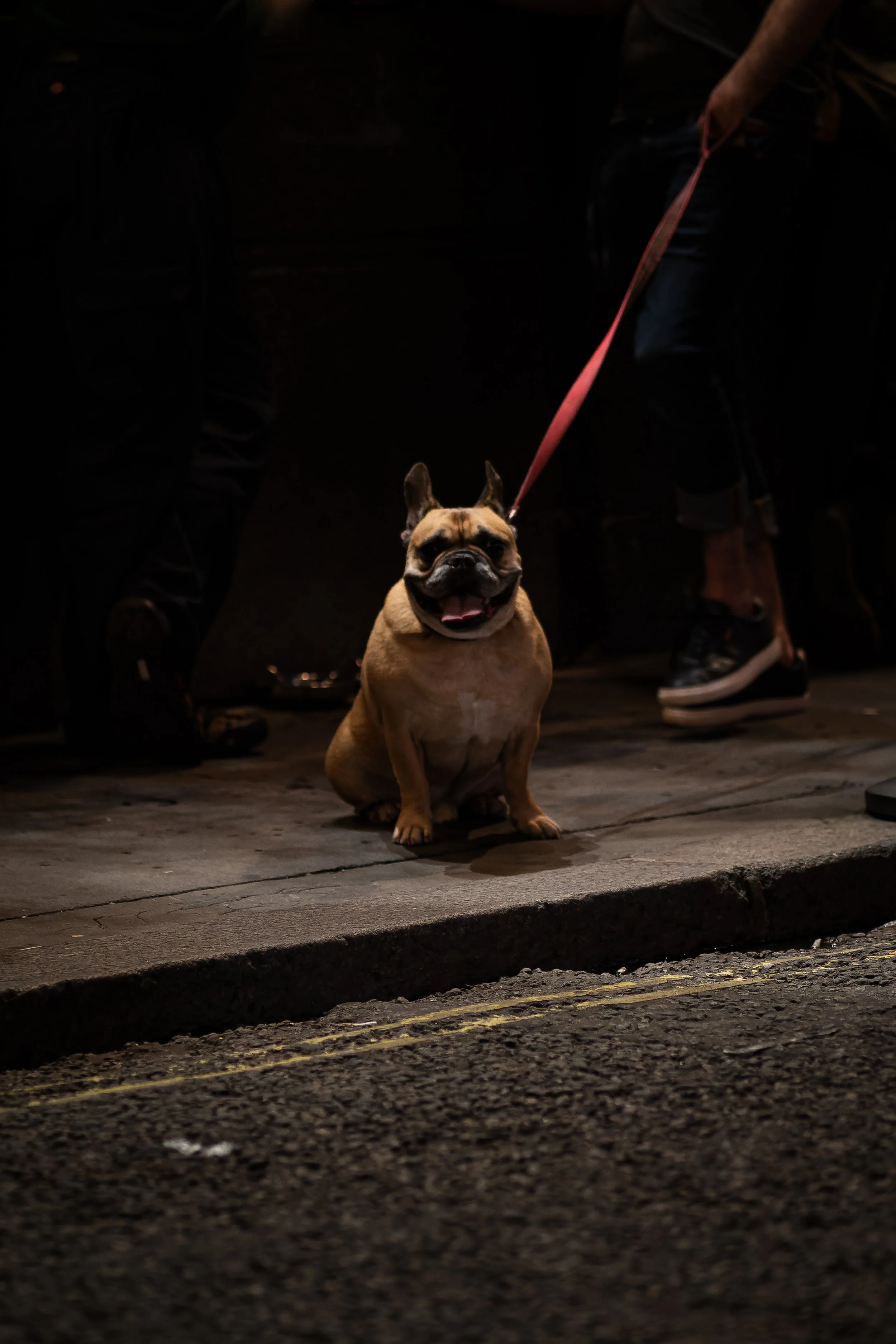 _8150036-ORF_DxO_DeepPRIME.jpg