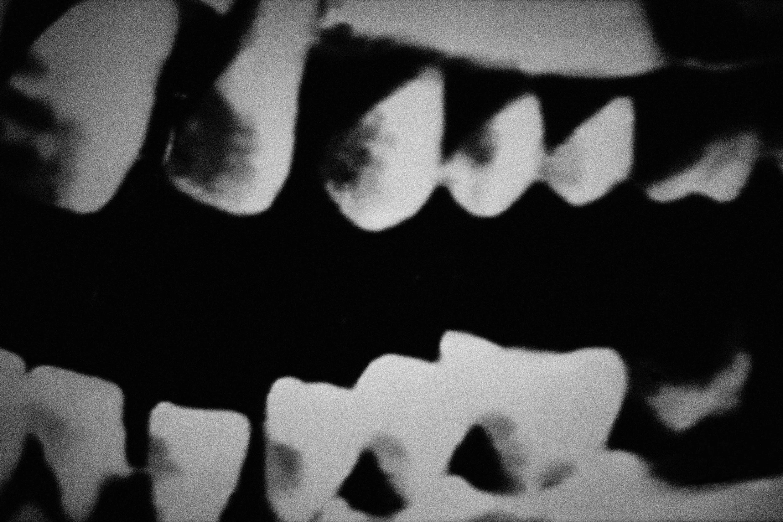 PA240184.jpg