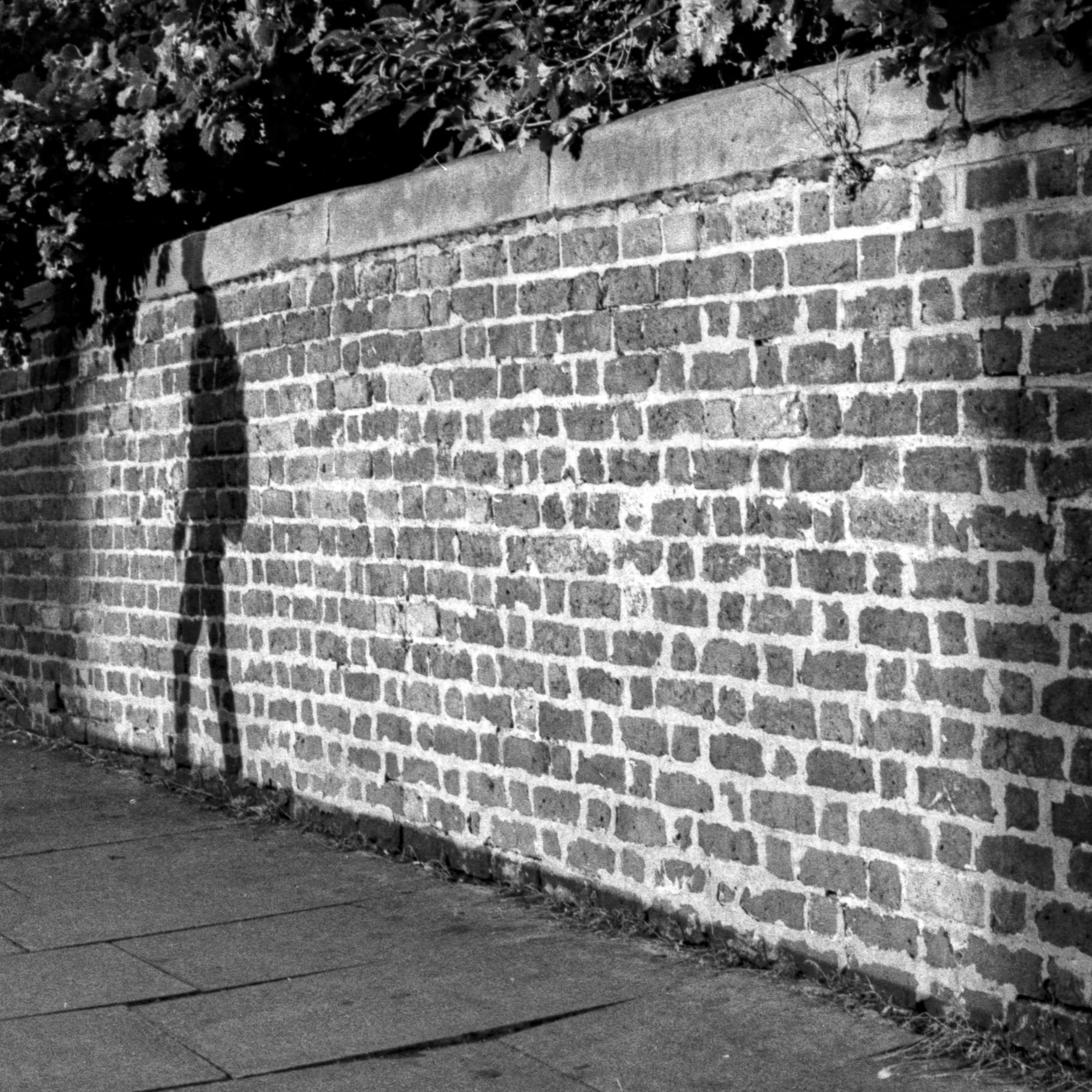 SHADOW.jpg