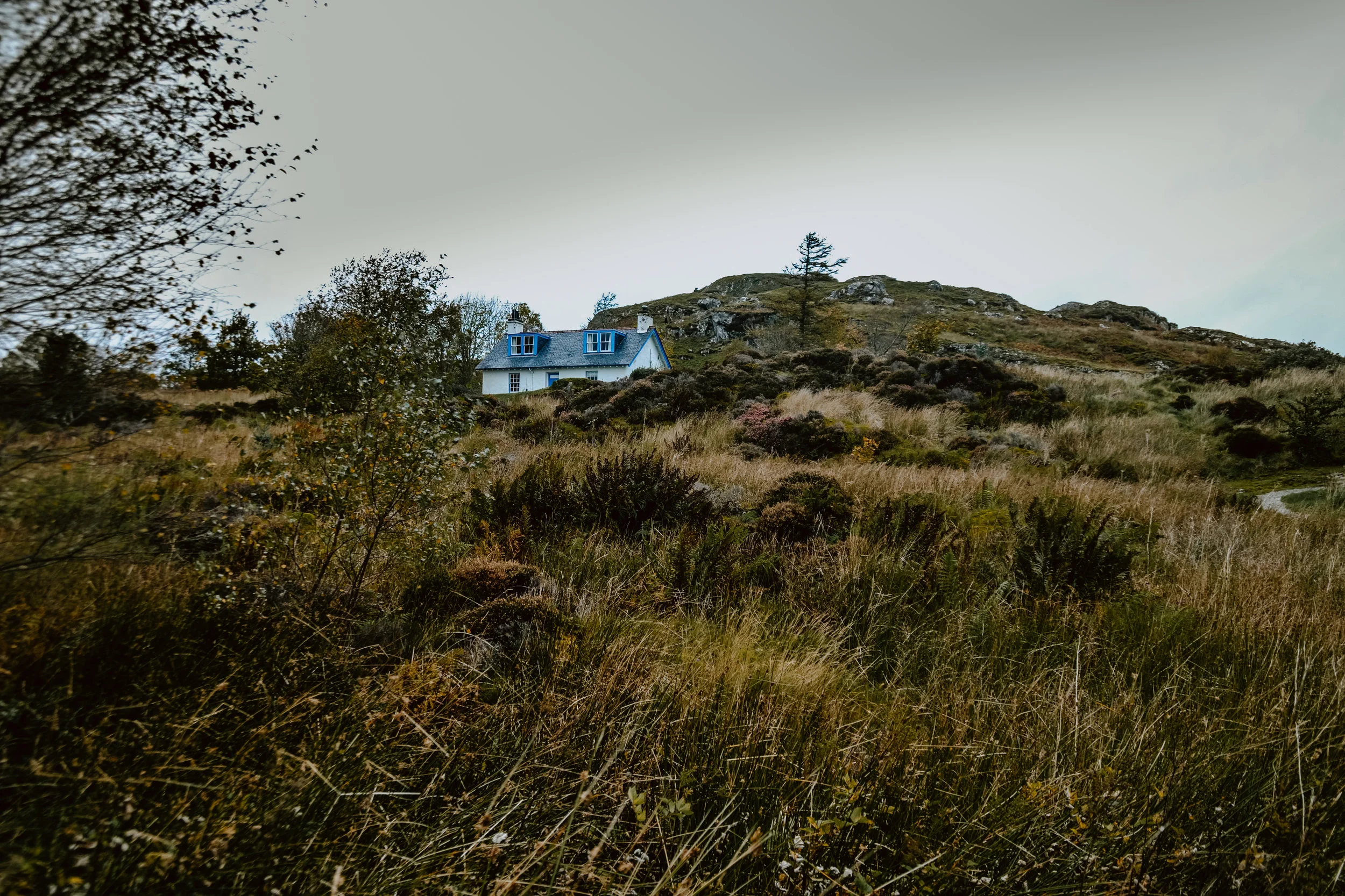 DSC_0253.jpg