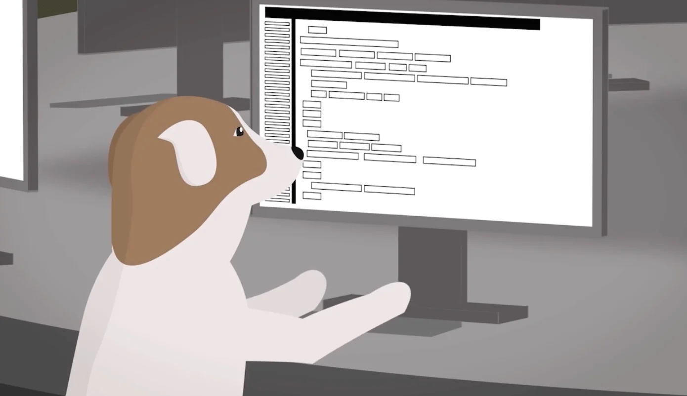 IT Workers: A Breed of Their Own