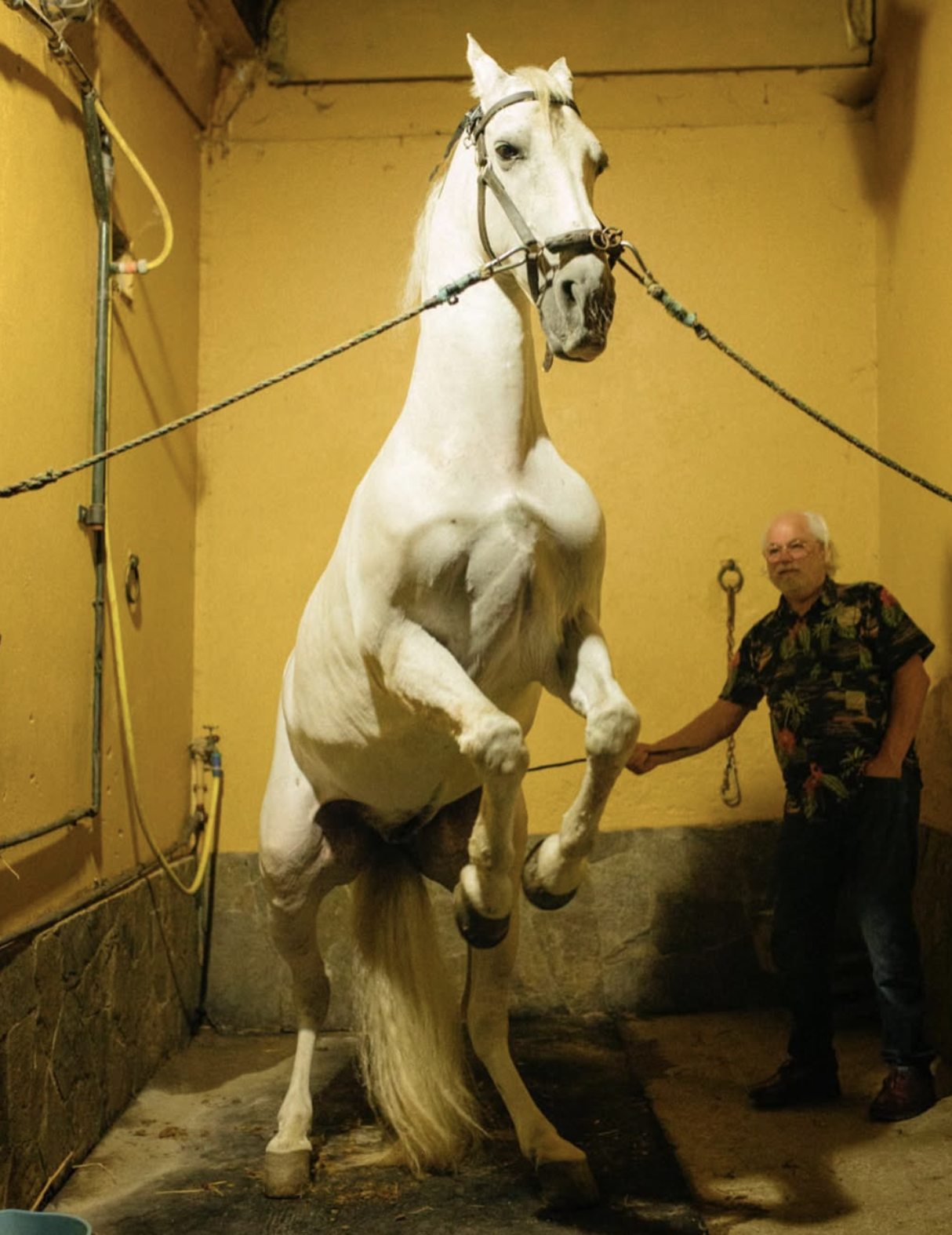 Screenshot 2025-04-12 at 4.30.24 PM.png