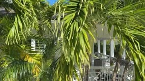 Panorama from the Deck