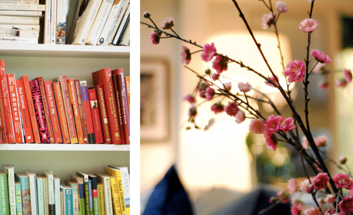 Screen Shot 2018-11-15 at 5.13.14 PM.png