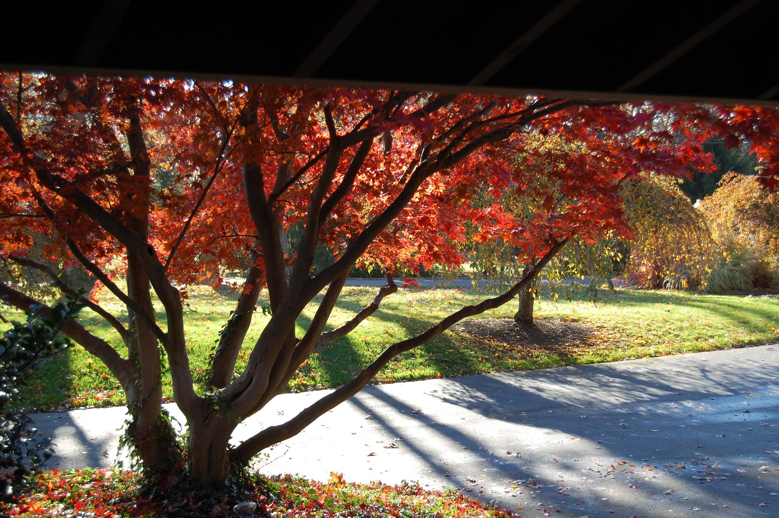 21st outdoor picture .jpg