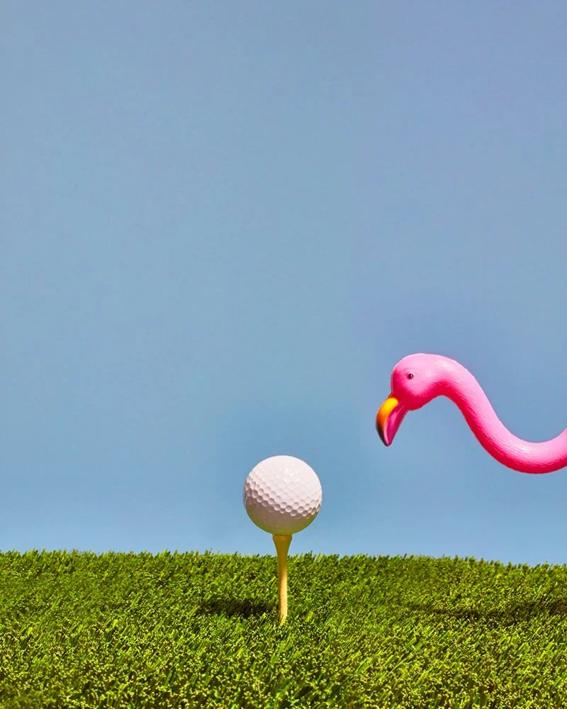 Flamingo2.jpg